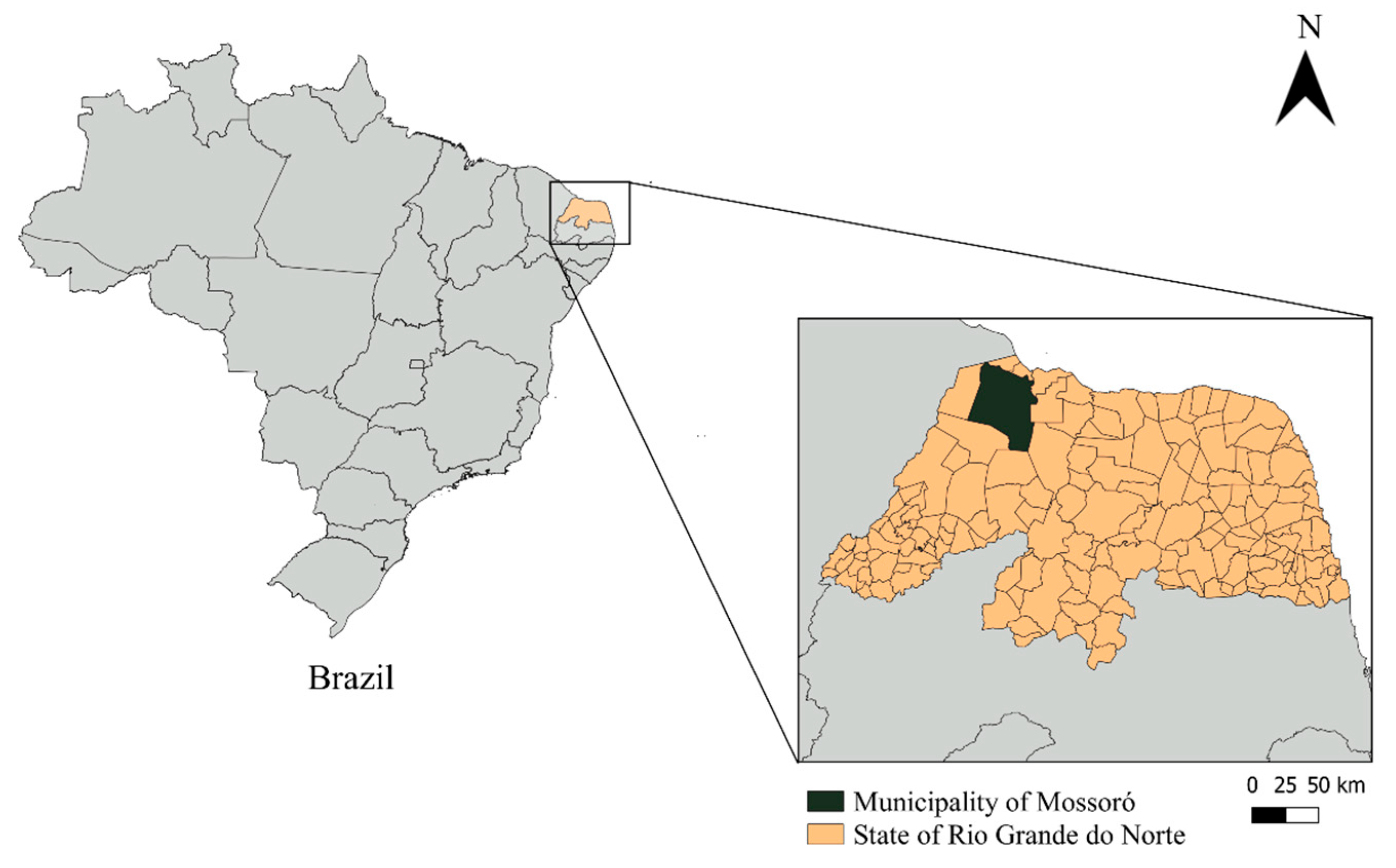 Microorganisms 12 00071 g001