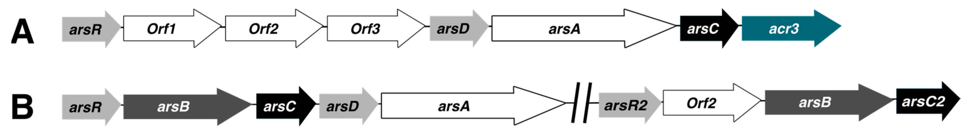 Microorganisms 12 00074 g003