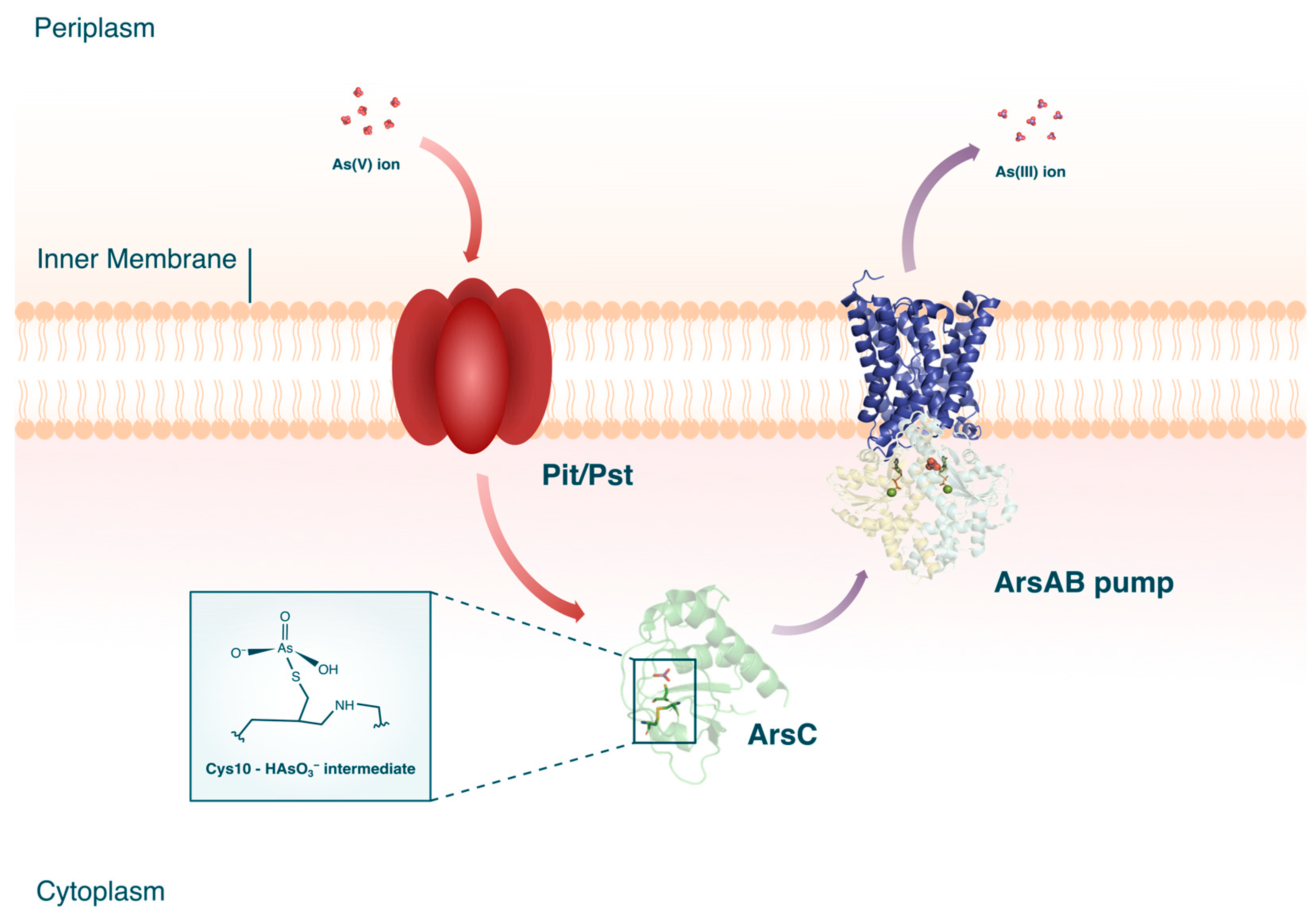 Microorganisms 12 00074 g005