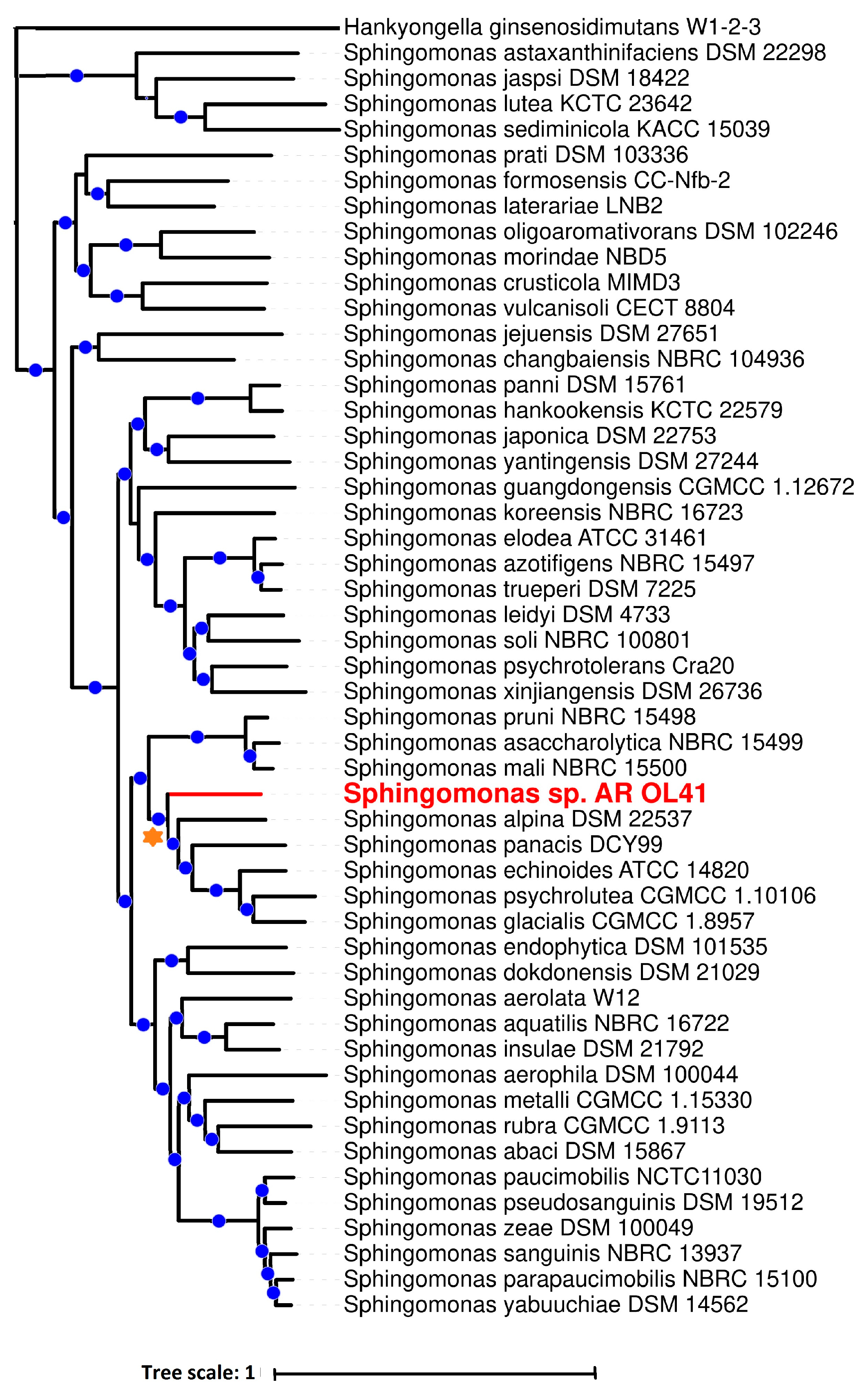 Microorganisms 12 00079 g004