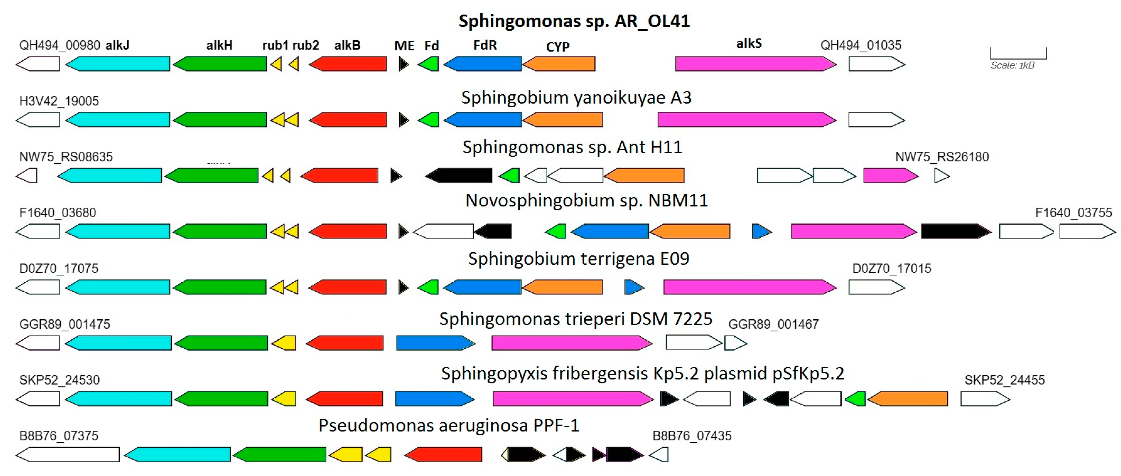 Microorganisms 12 00079 g005
