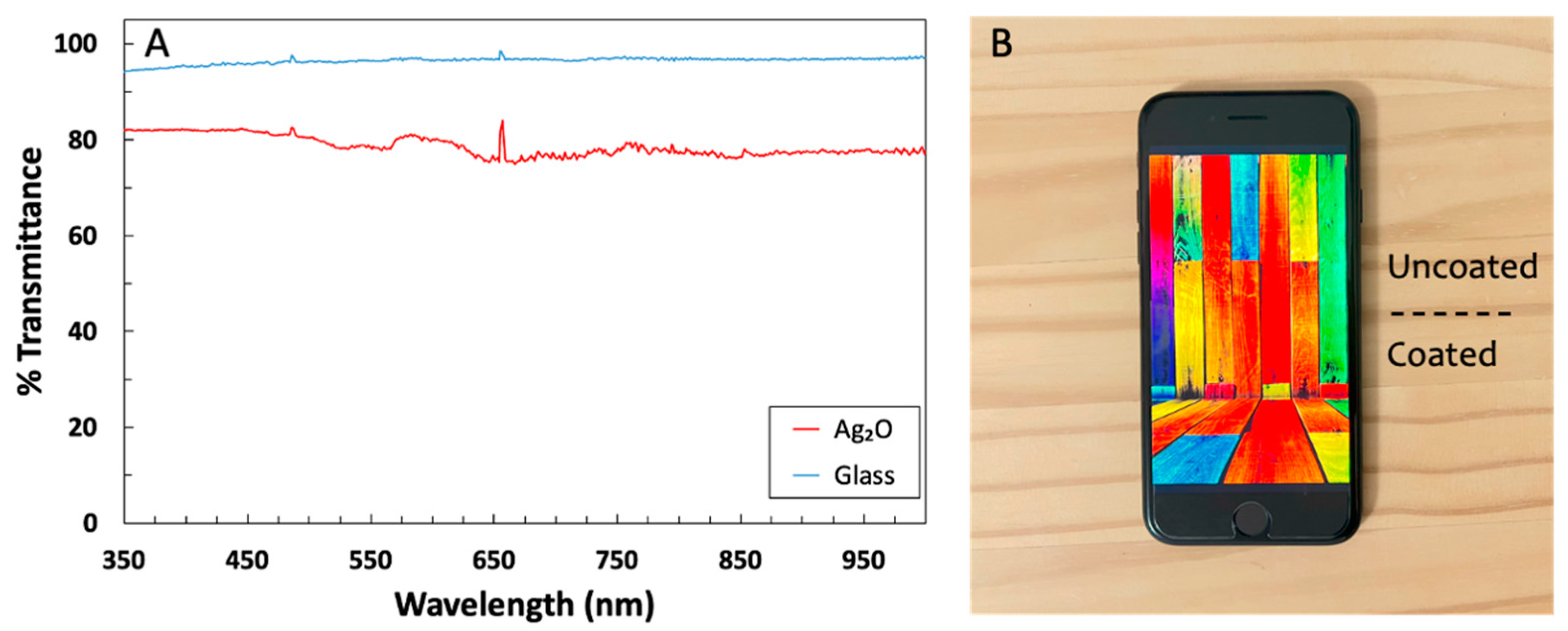 Microorganisms 12 00083 g001 Microorganisms 12 00083 g001