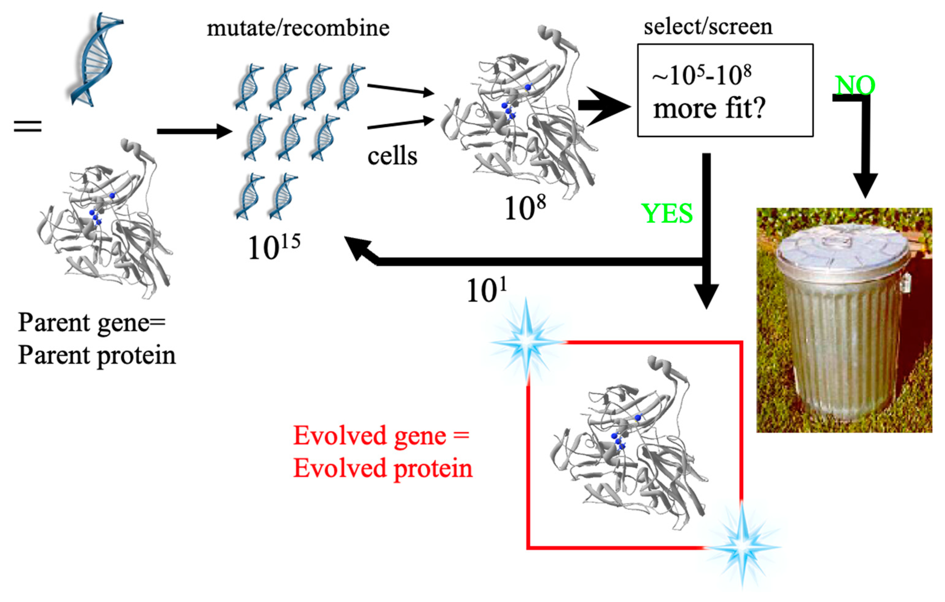 Microorganisms 12 00097 g001