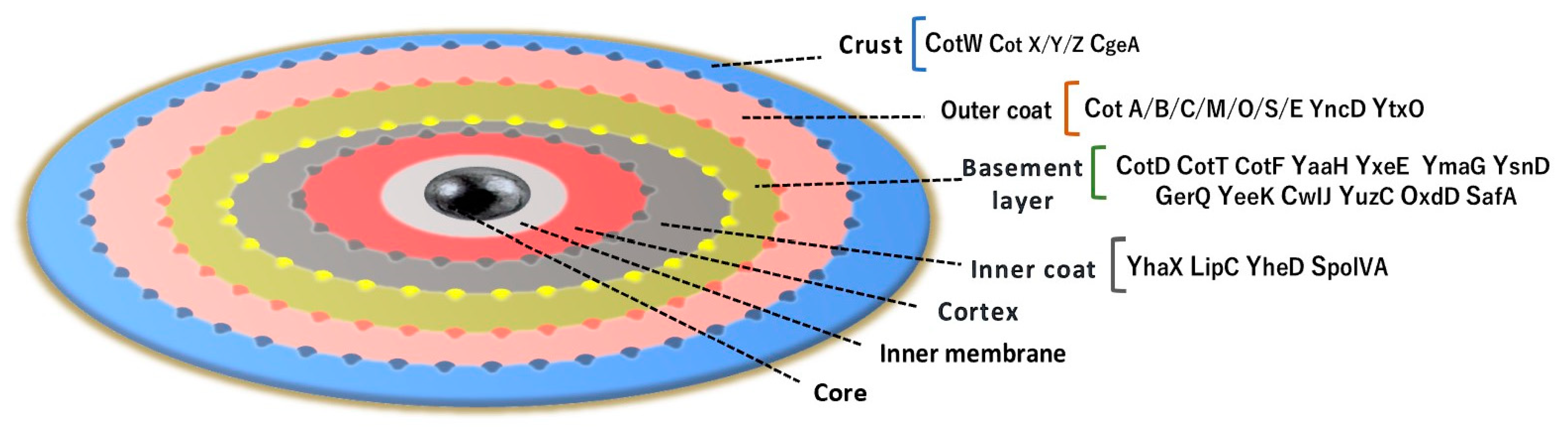 Microorganisms 12 00097 g005