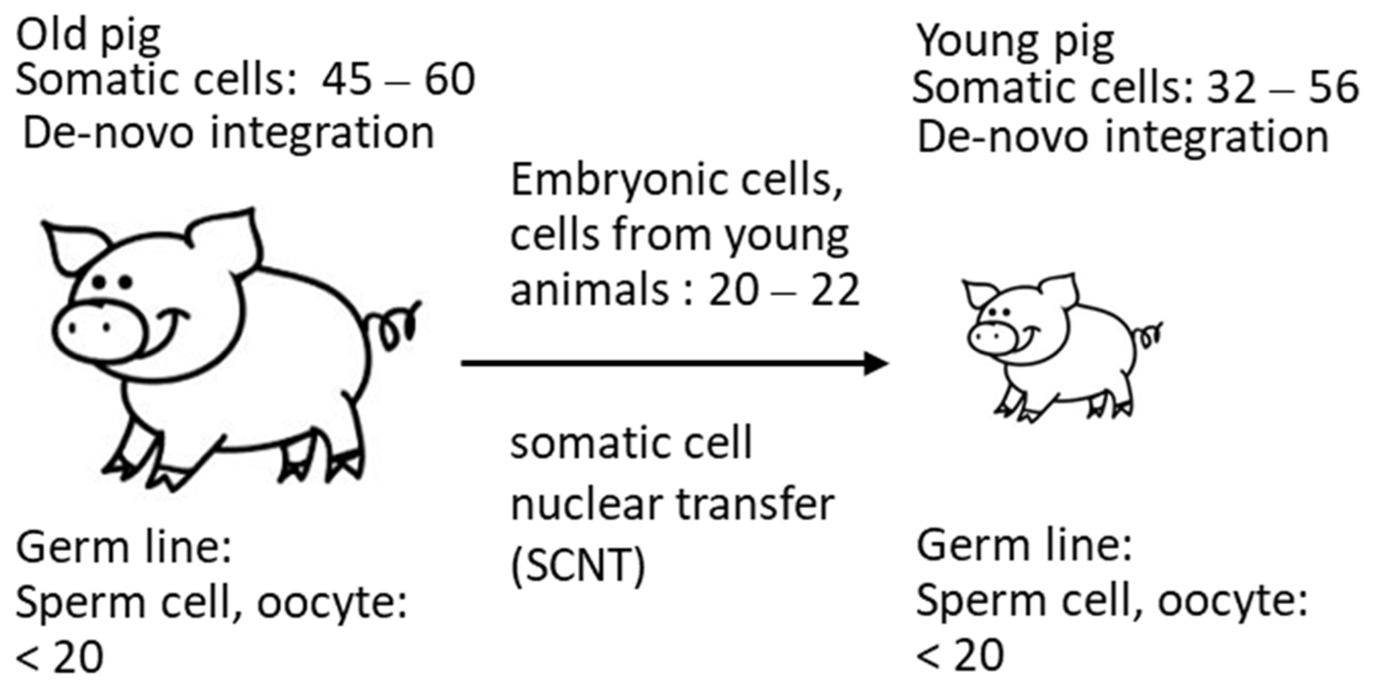 Microorganisms 12 00098 g005