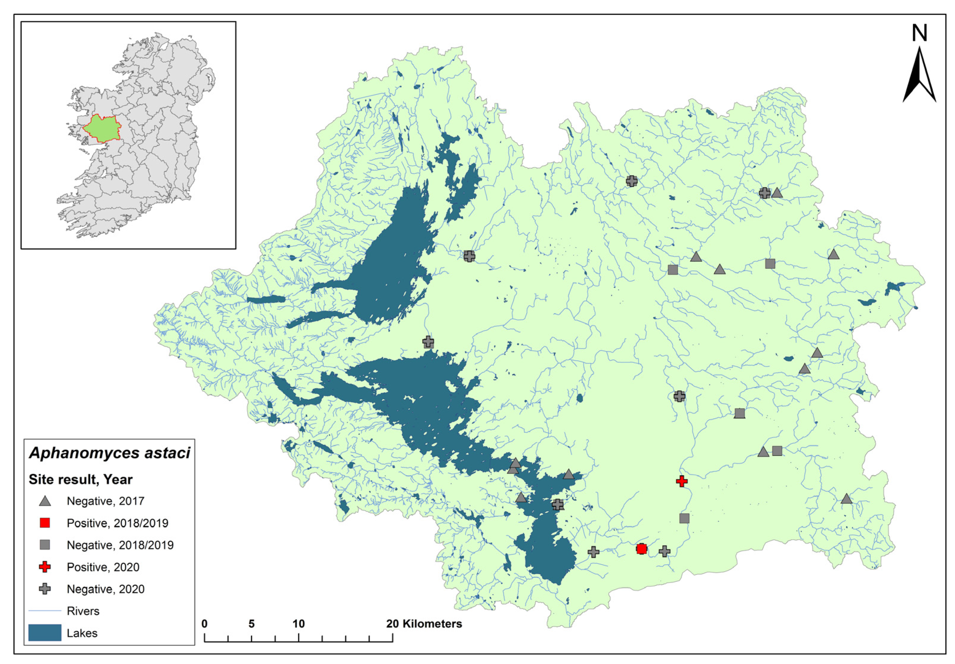 Microorganisms 12 00102 g005