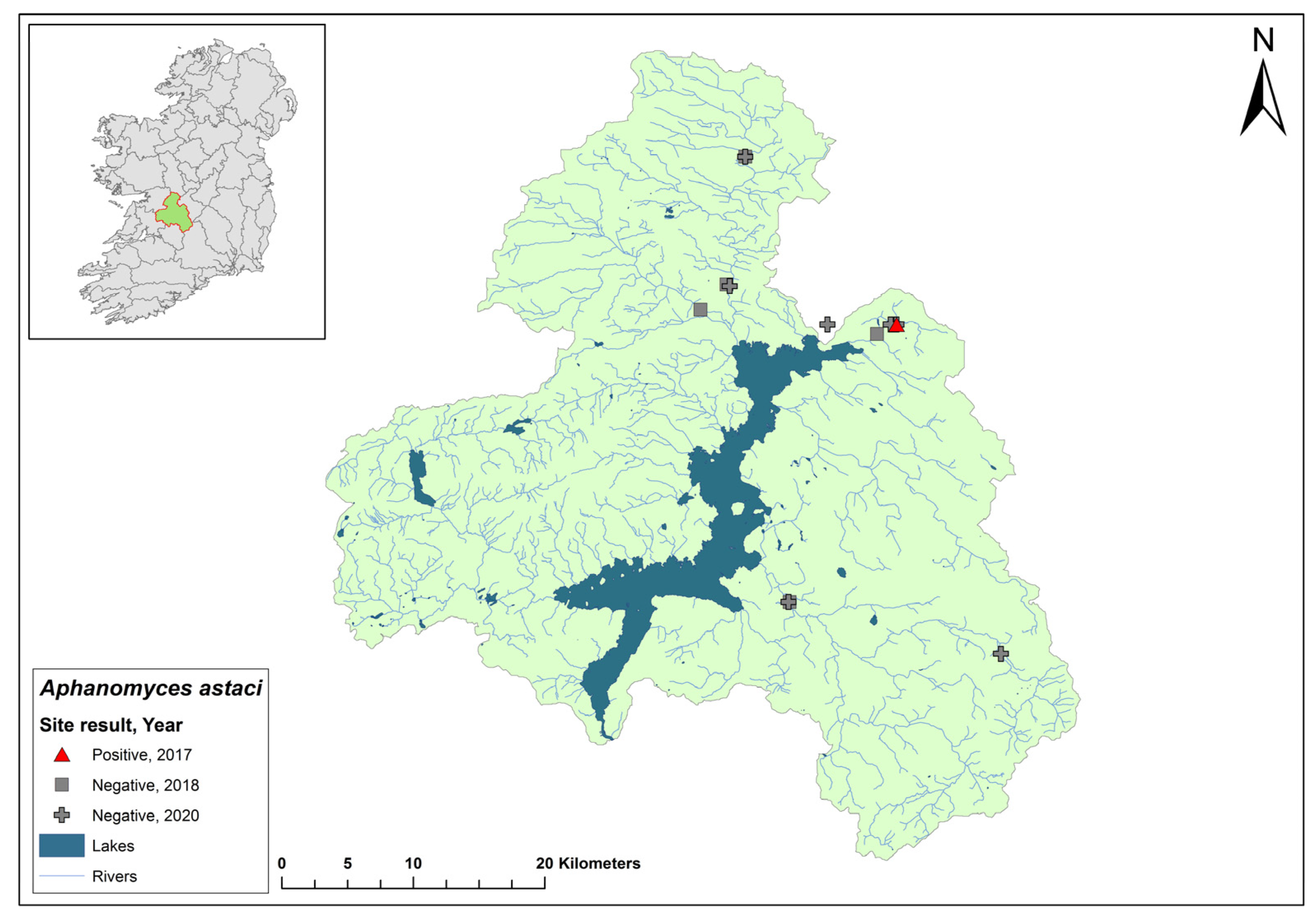 Microorganisms 12 00102 g010