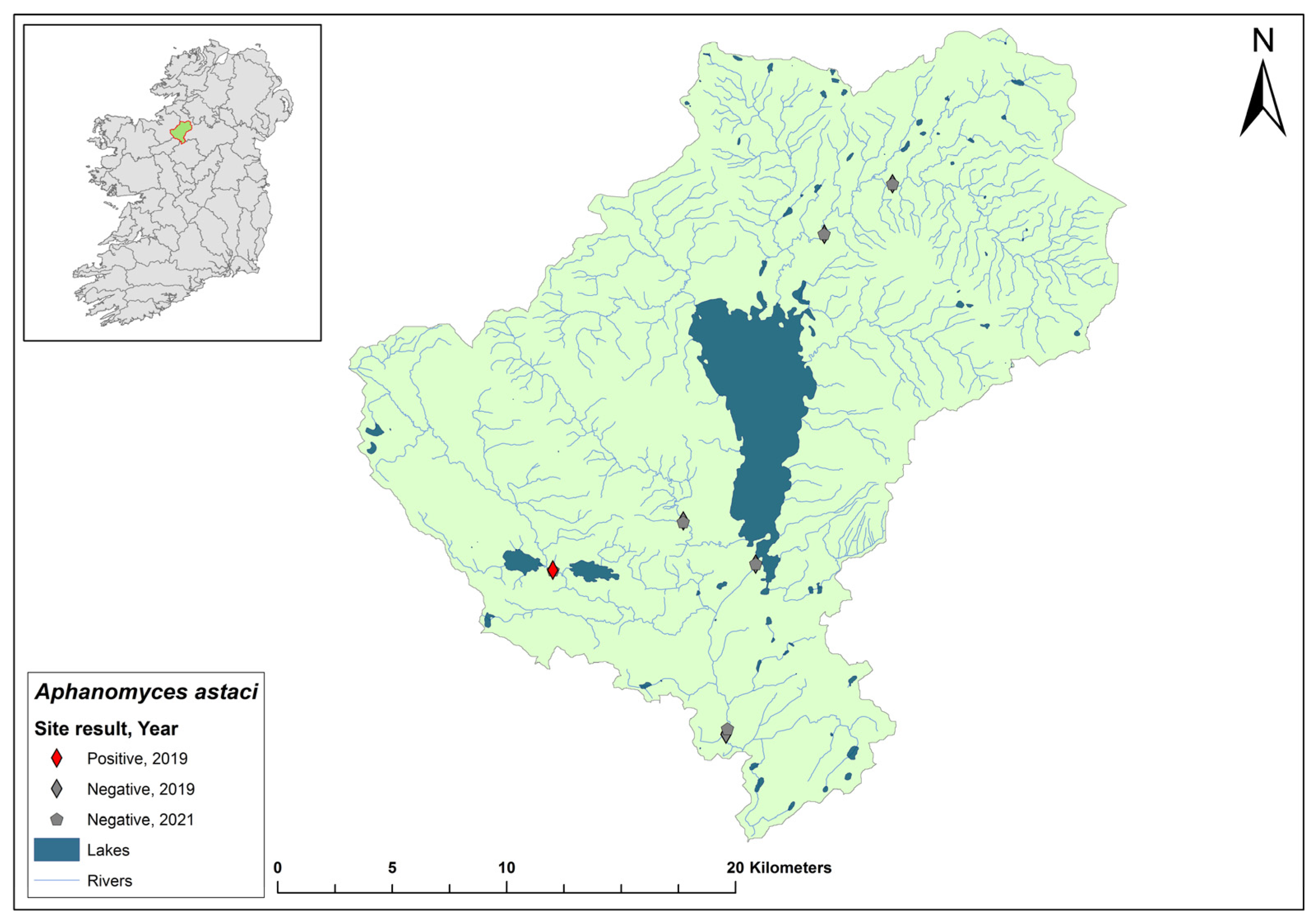 Microorganisms 12 00102 g012