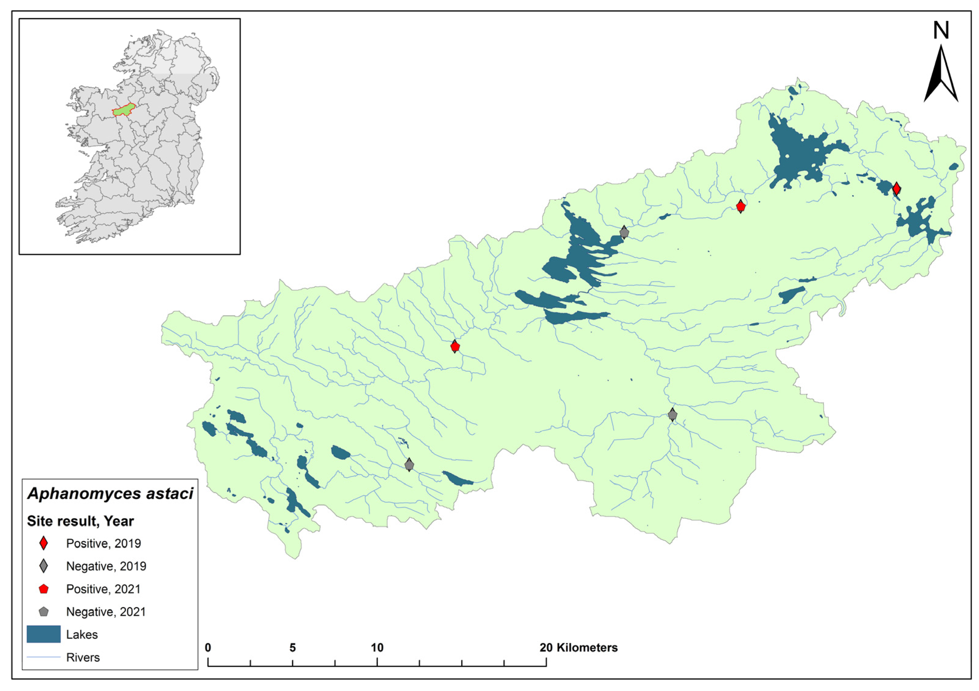 Microorganisms 12 00102 g013