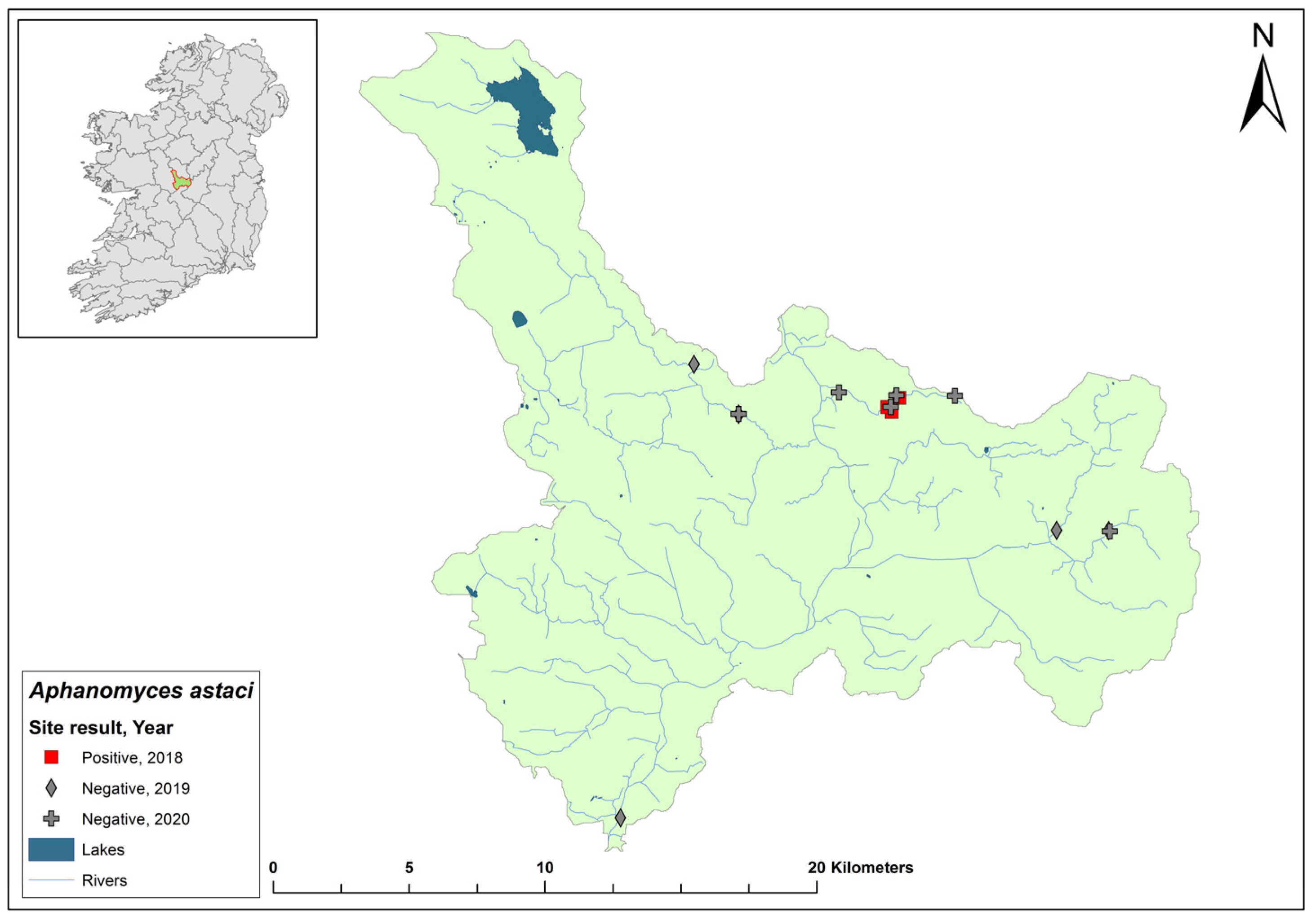 Microorganisms 12 00102 g016