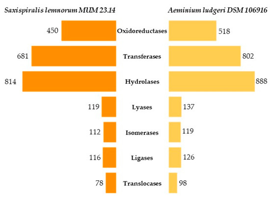 Microorganisms 12 00104 g0a3