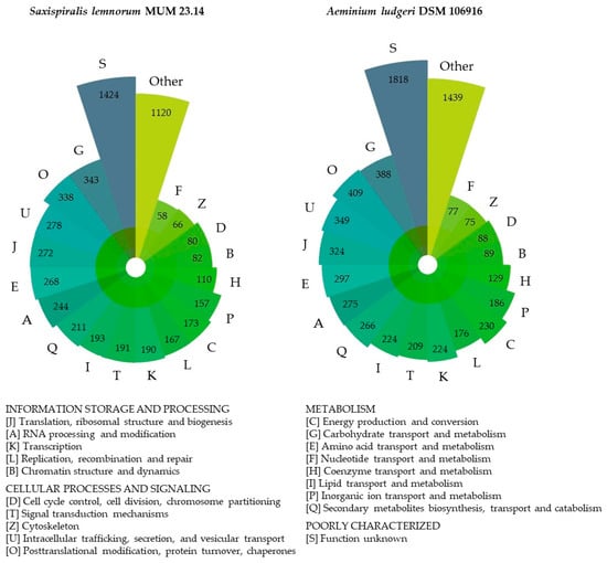 Microorganisms 12 00104 g0a4