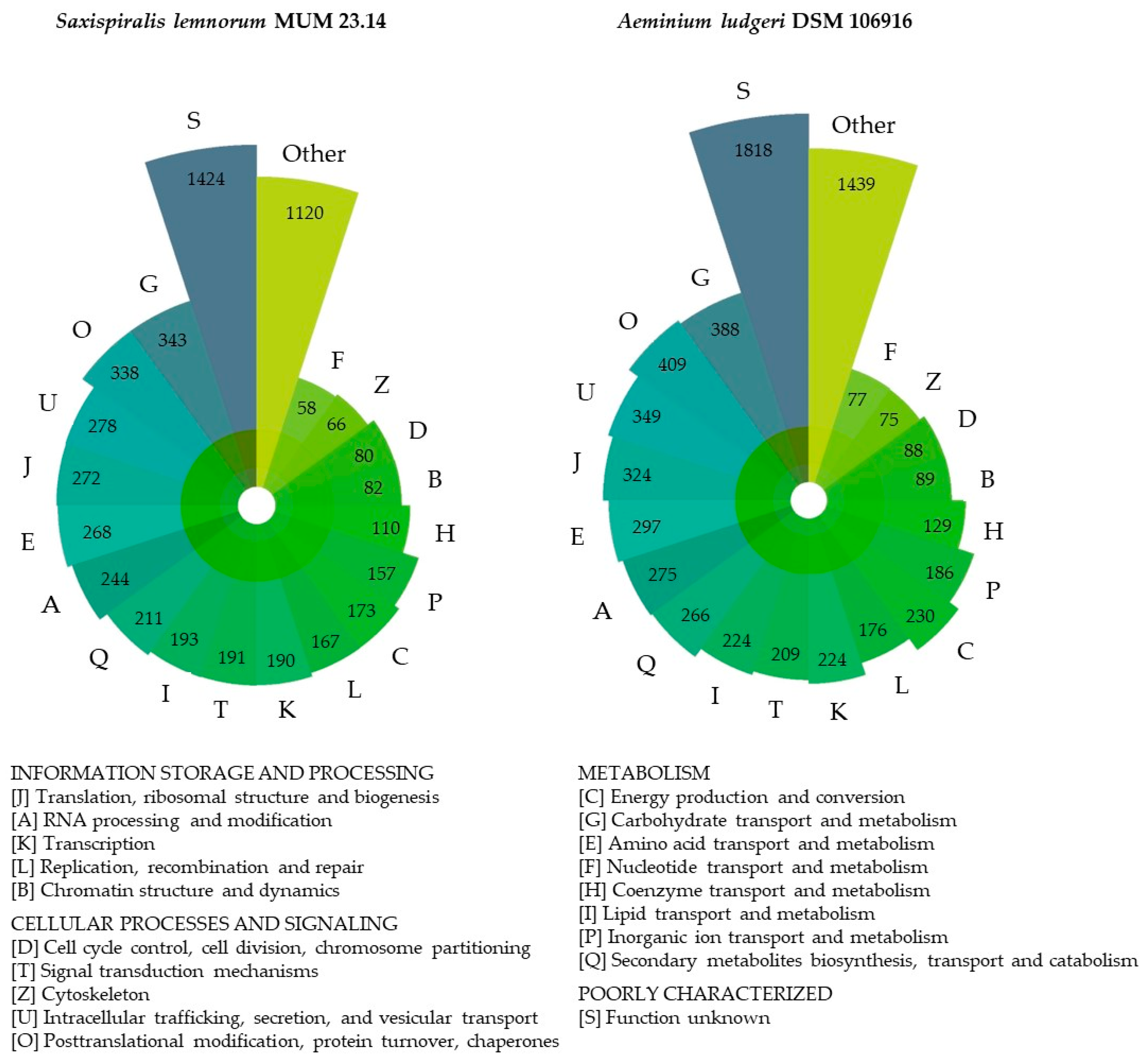 Microorganisms 12 00104 g0a4