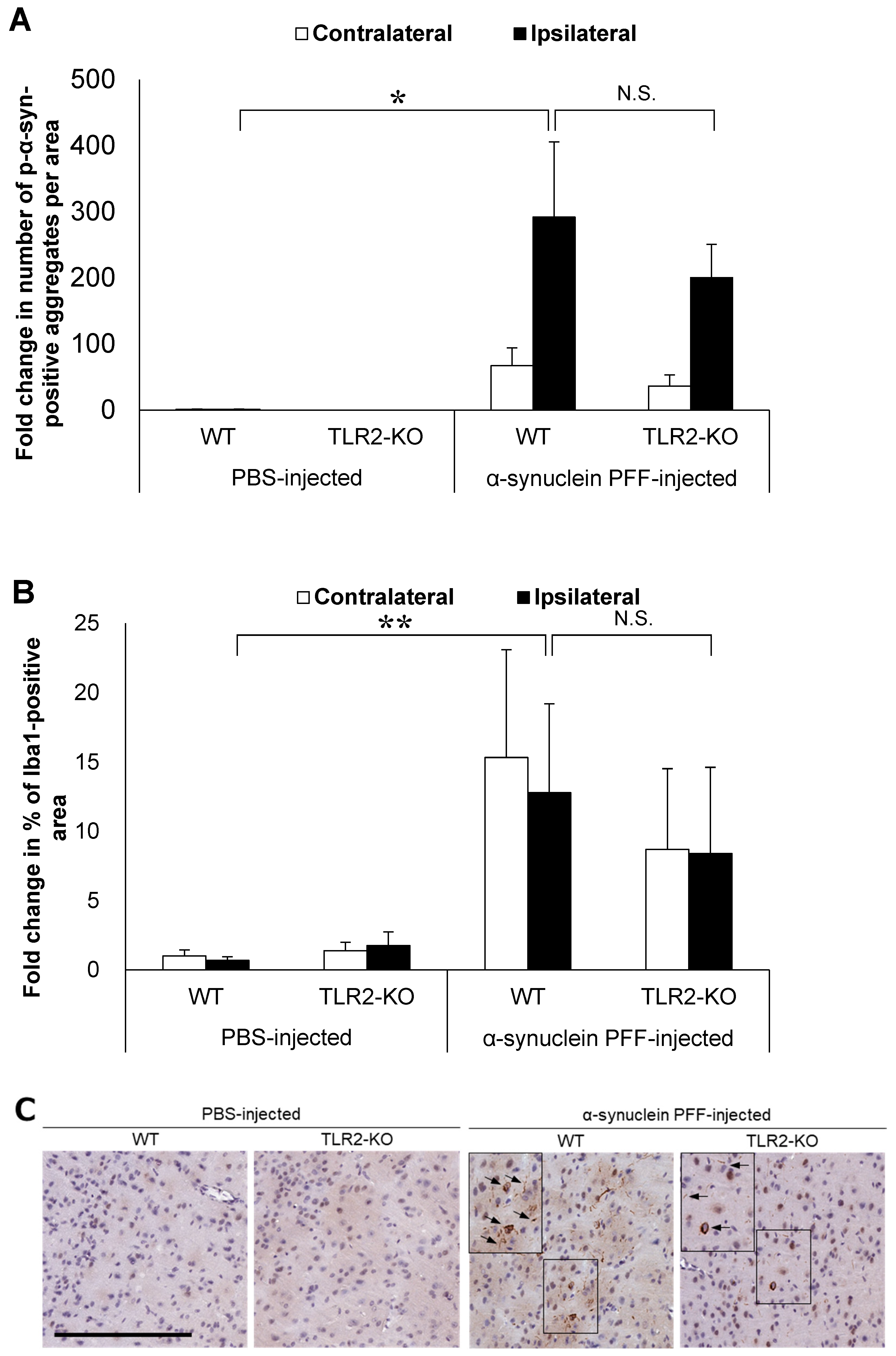 Microorganisms 12 00106 g002a