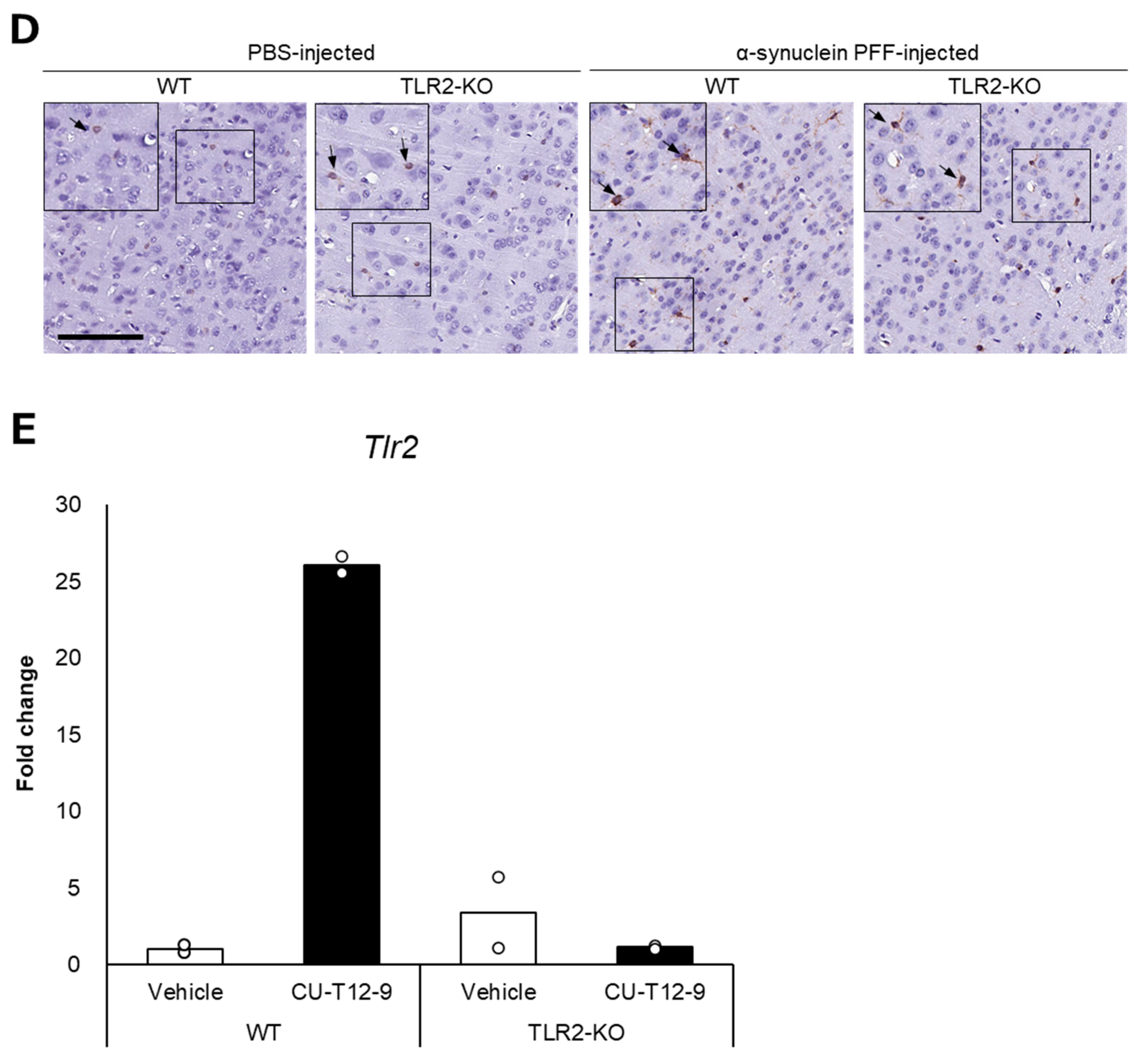 Microorganisms 12 00106 g002b