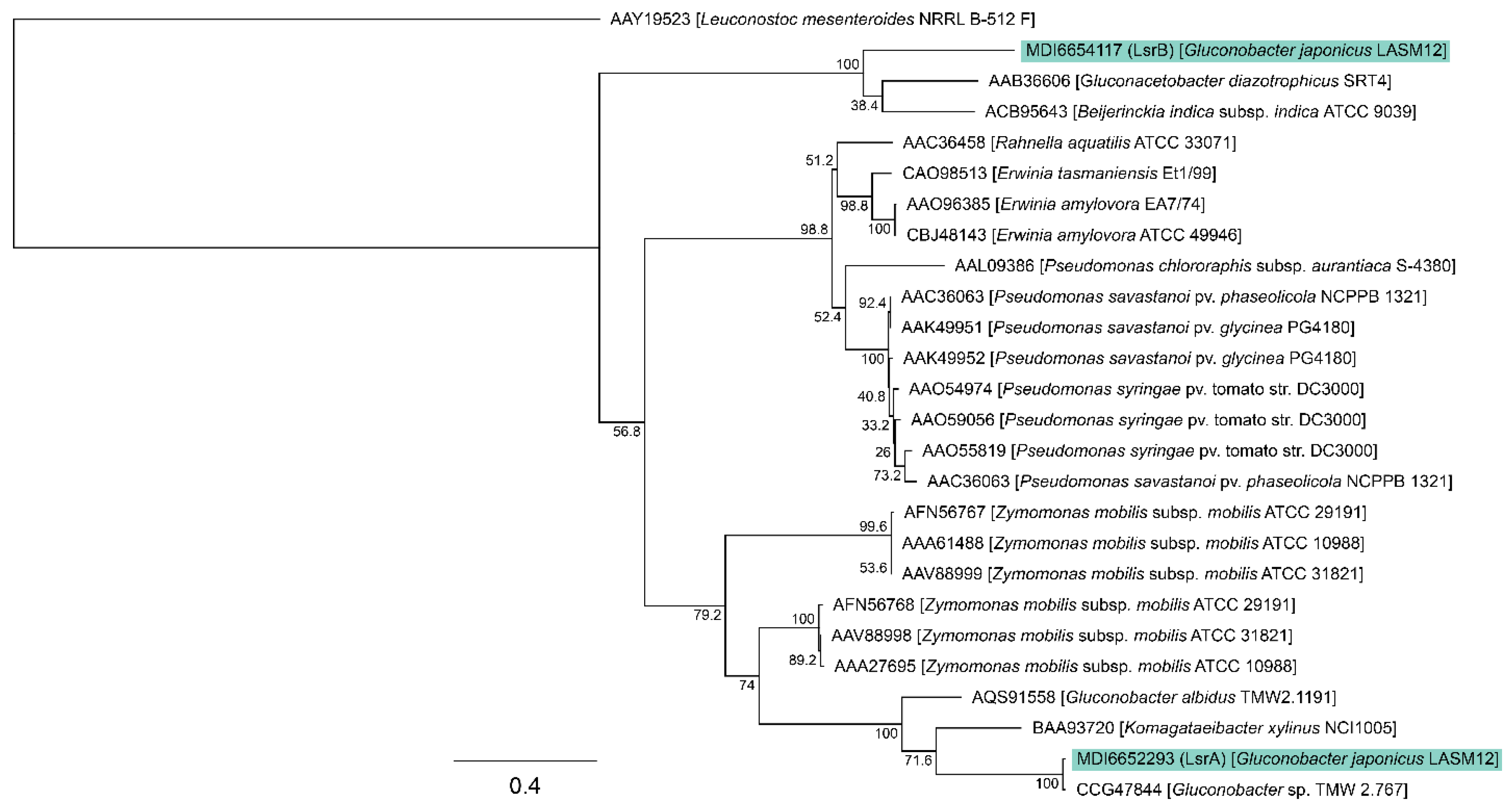 Microorganisms 12 00107 g002