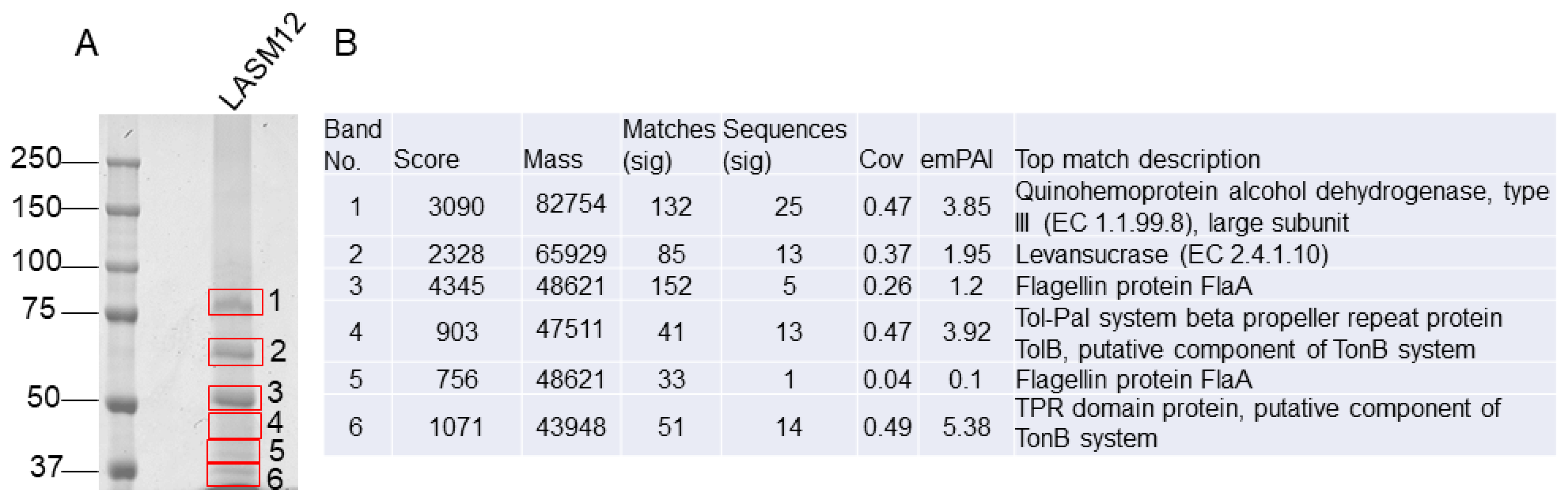 Microorganisms 12 00107 g003