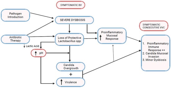Microorganisms 12 00108 g002