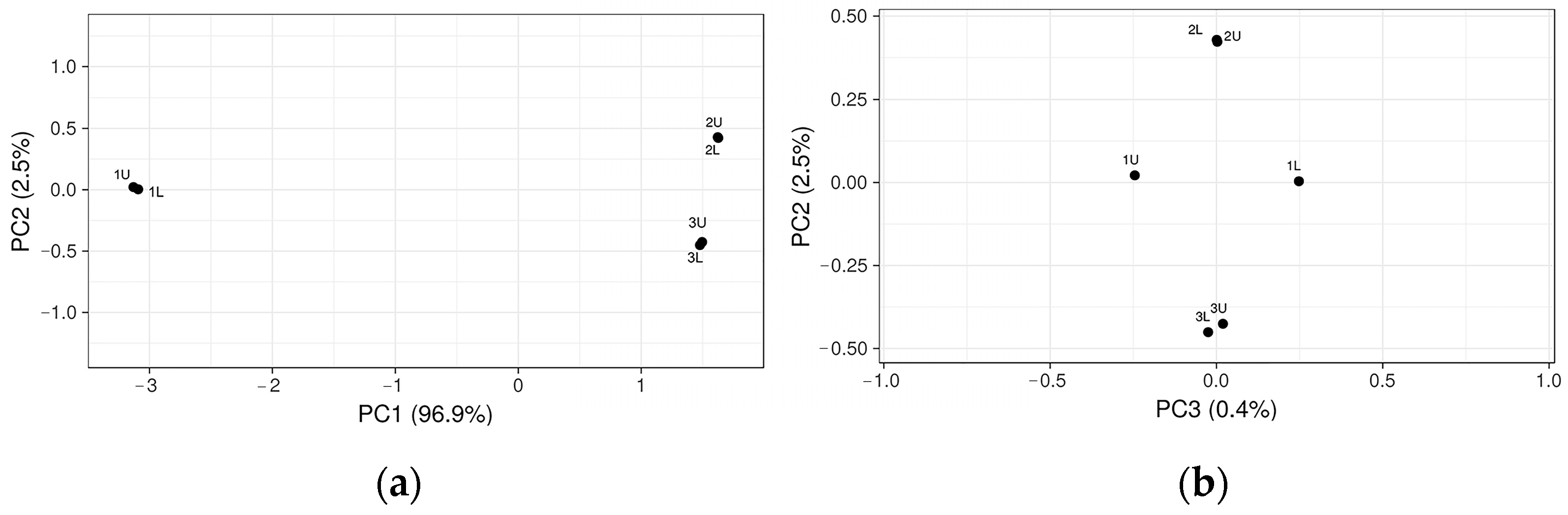 Microorganisms 12 00109 g004