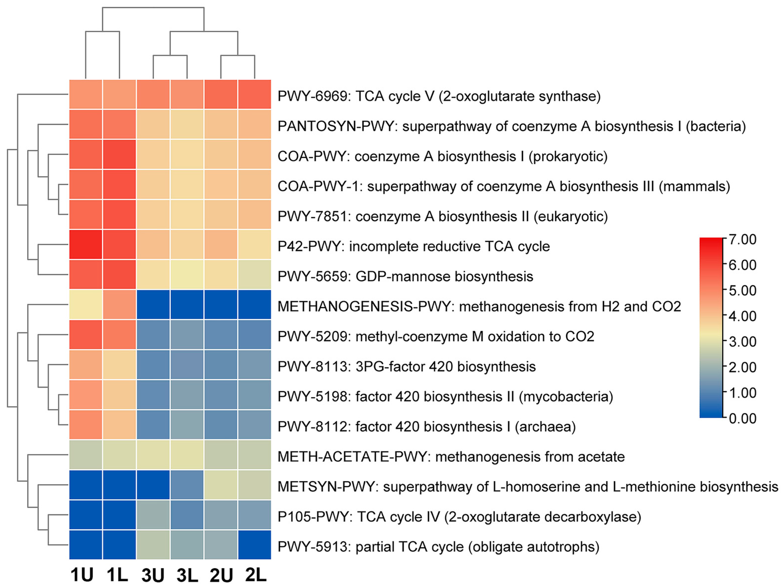 Microorganisms 12 00109 g006
