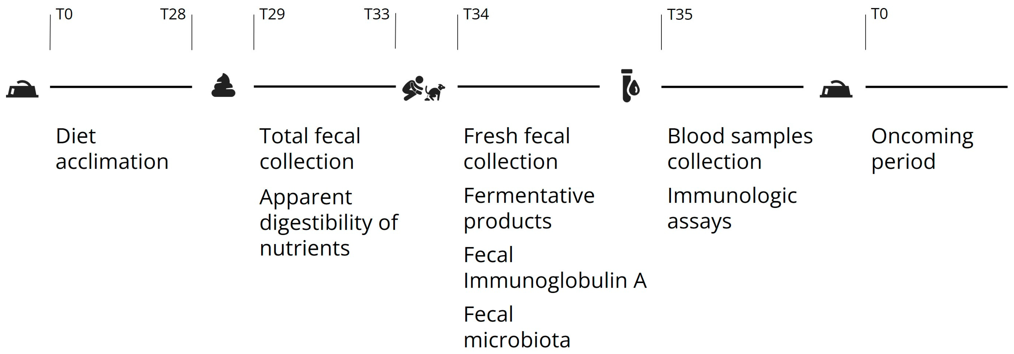 Microorganisms 12 00113 g001