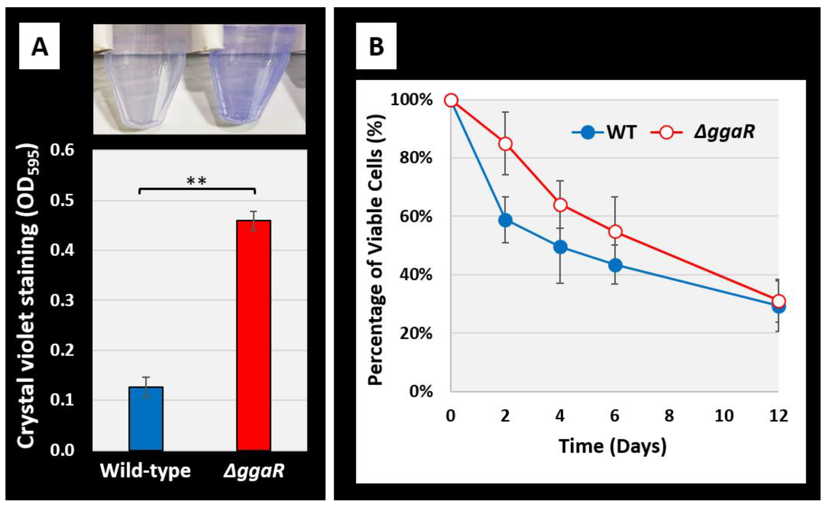 Microorganisms 12 00115 g005