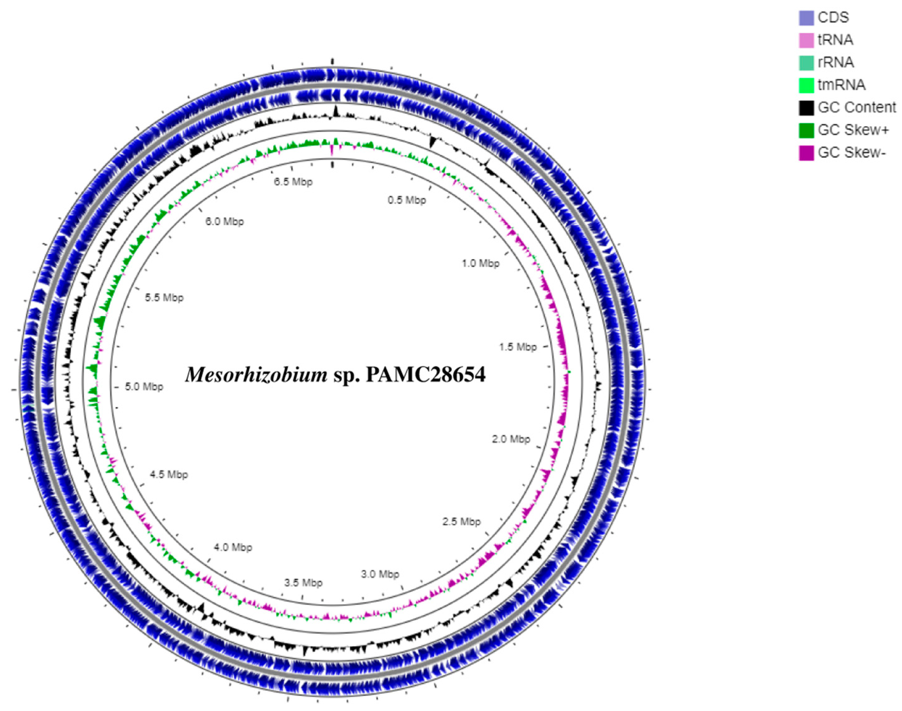 Microorganisms 12 00120 g001