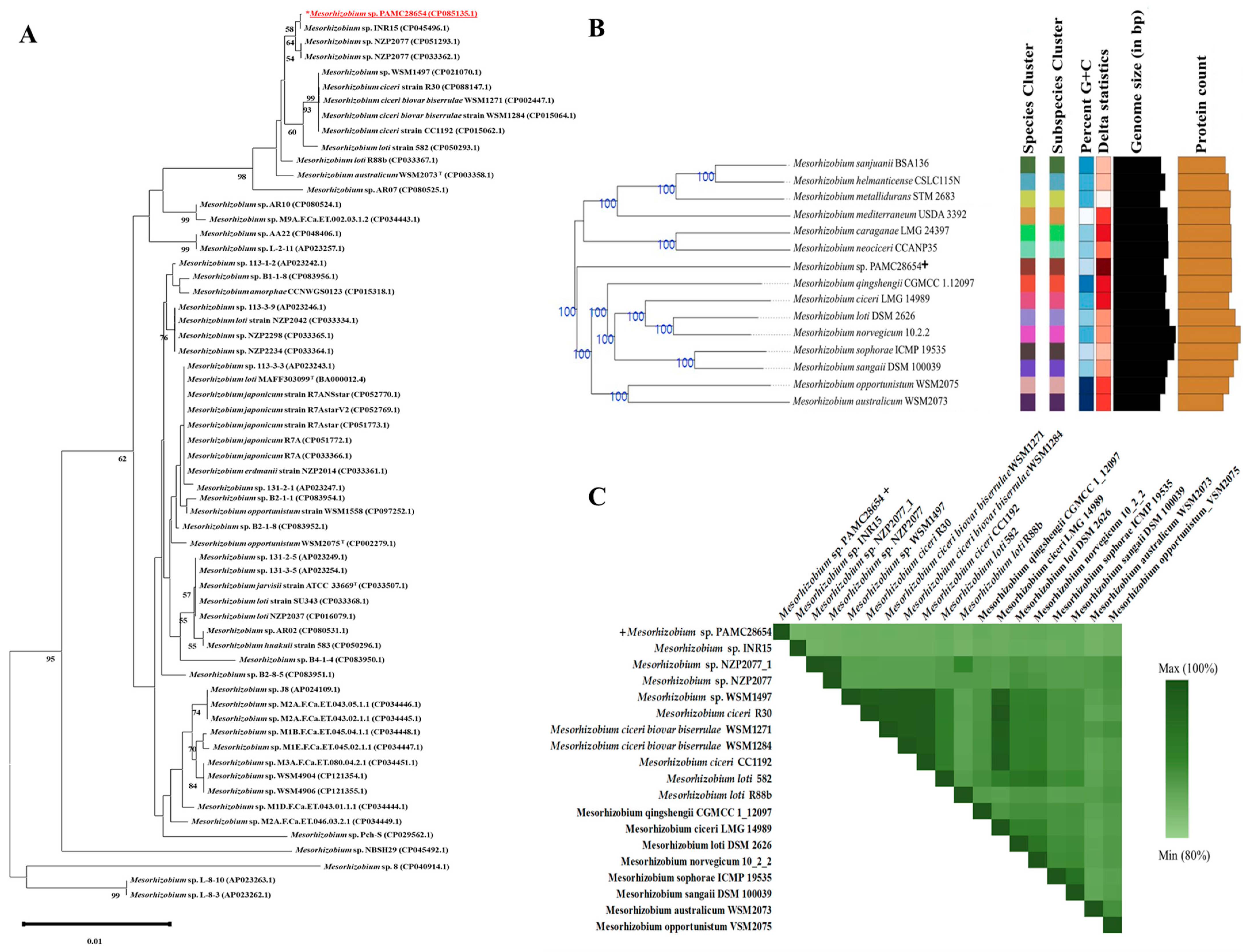 Microorganisms 12 00120 g003