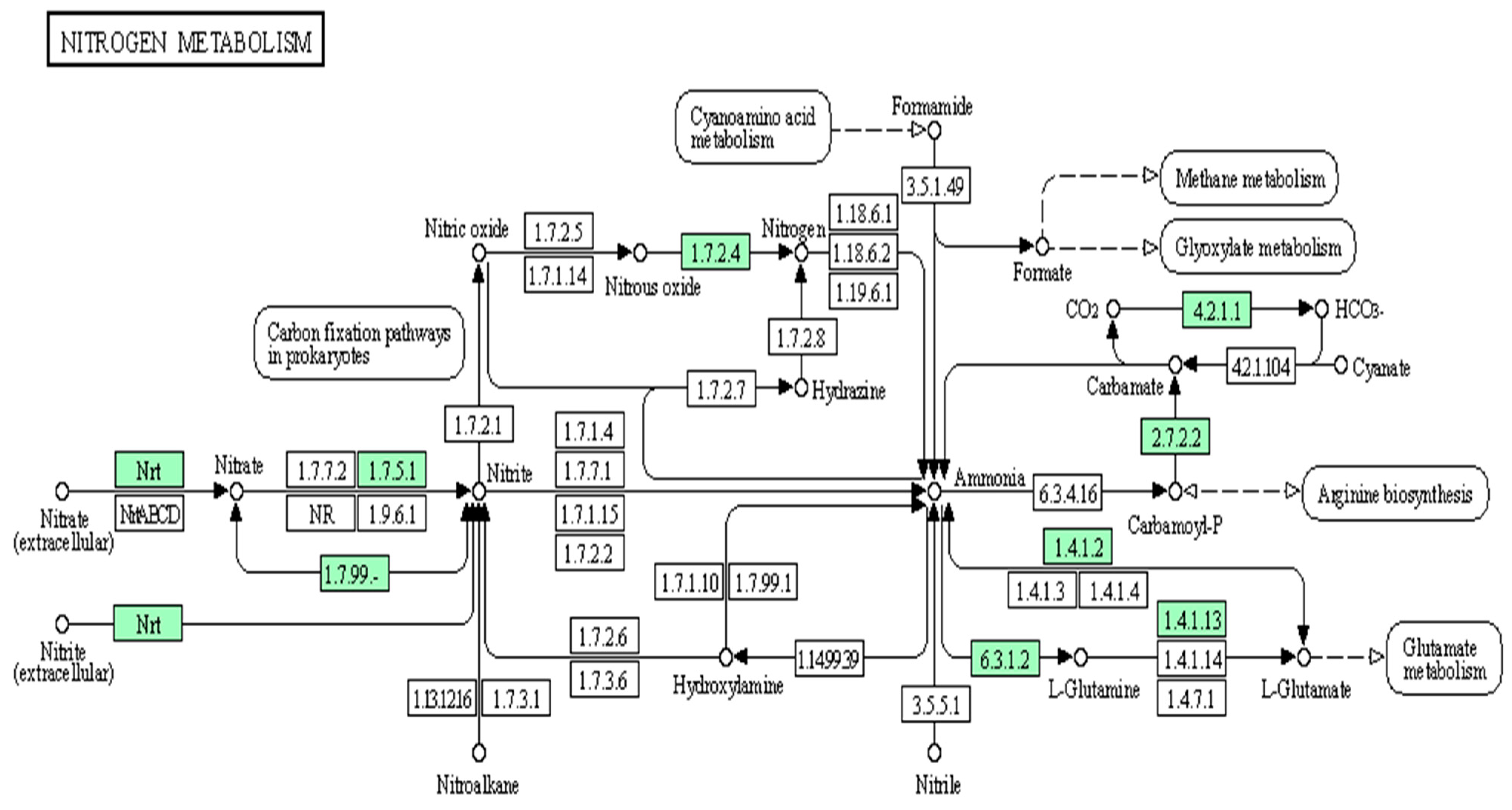 Microorganisms 12 00120 g004