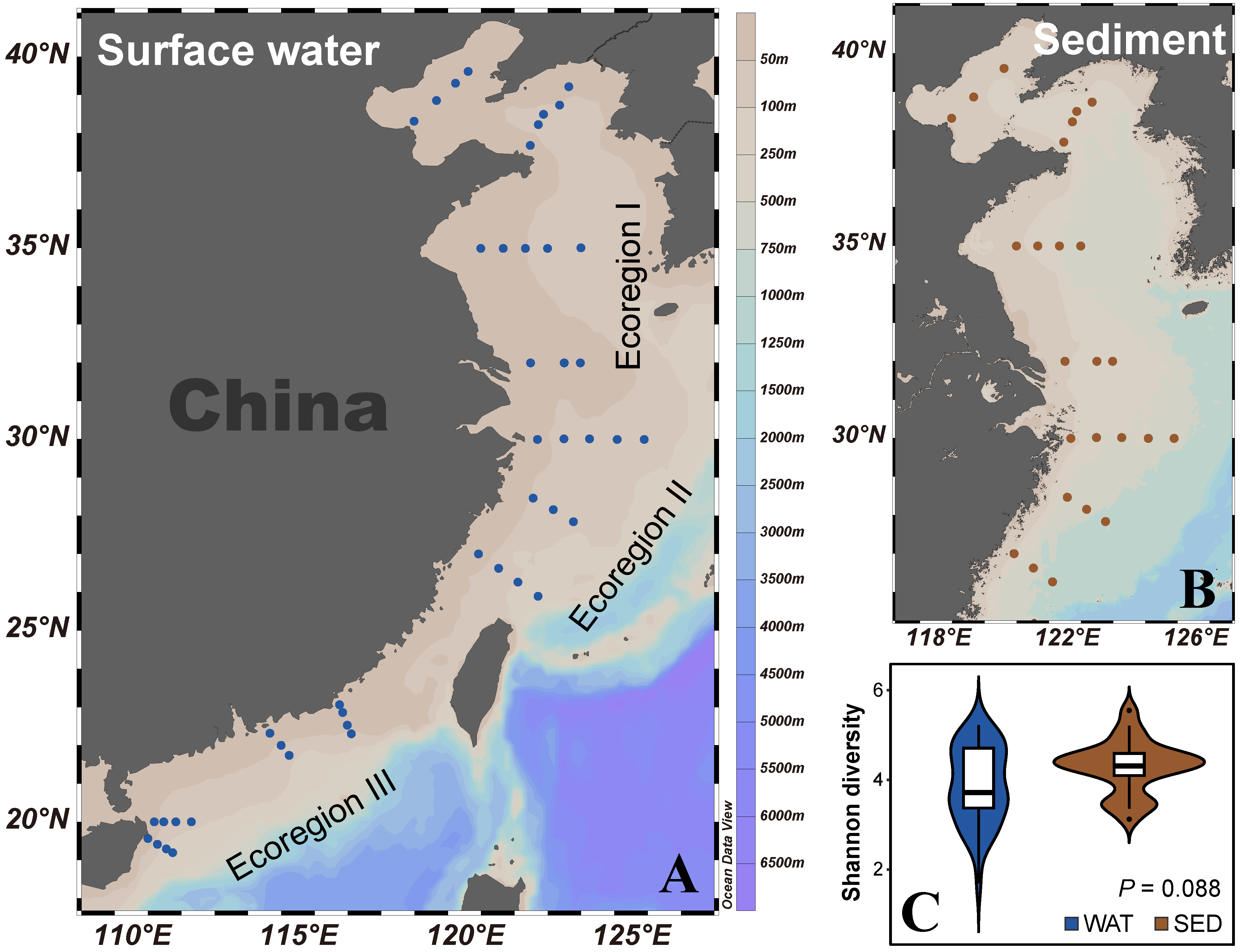 Microorganisms 12 00124 g001