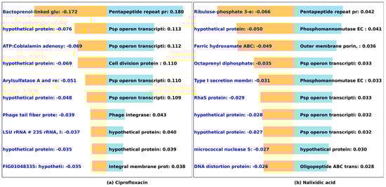 Microorganisms 12 00134 g006