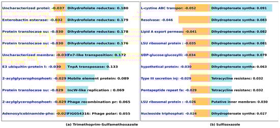 Microorganisms 12 00134 g007