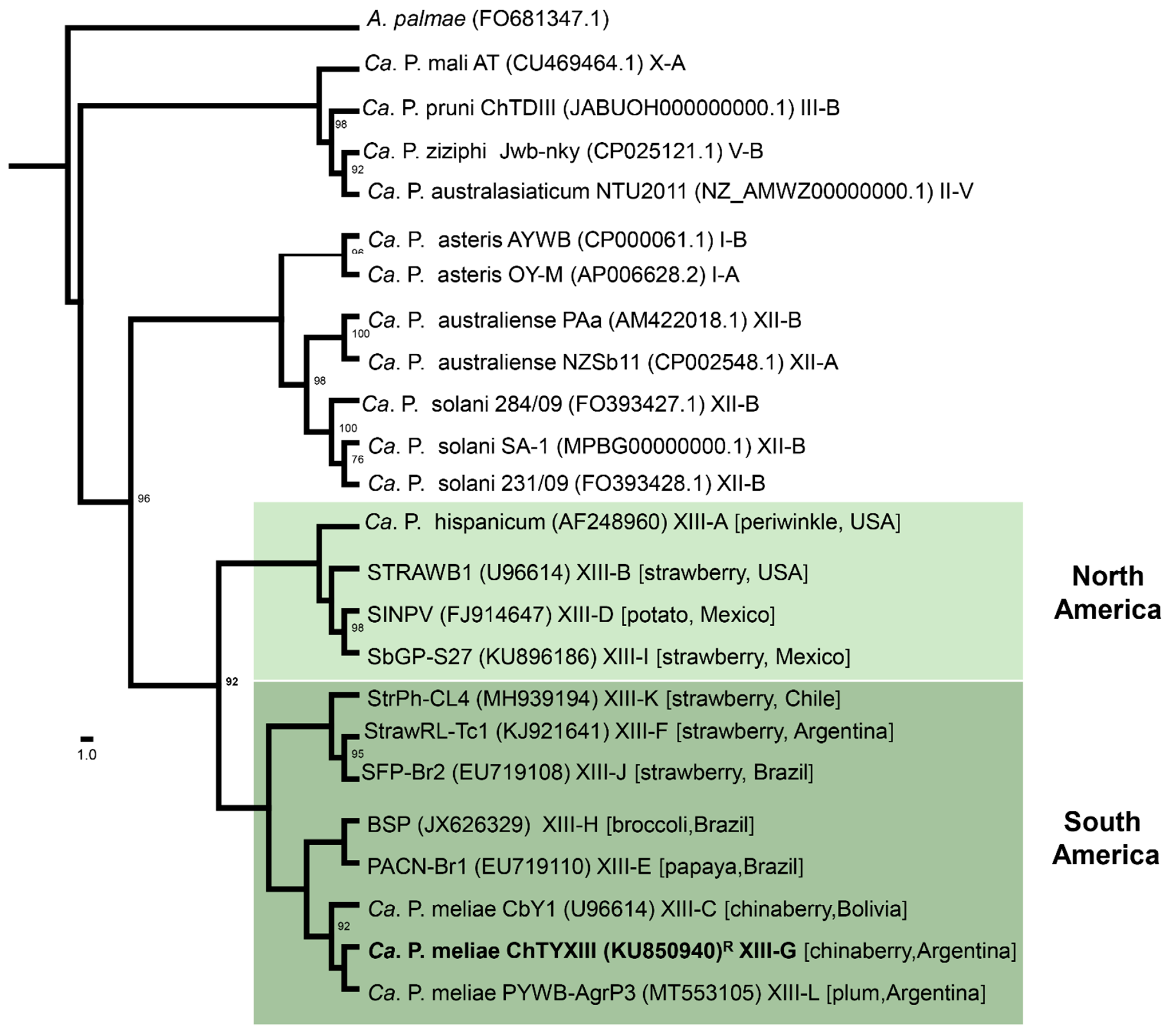 Microorganisms 12 00142 g001