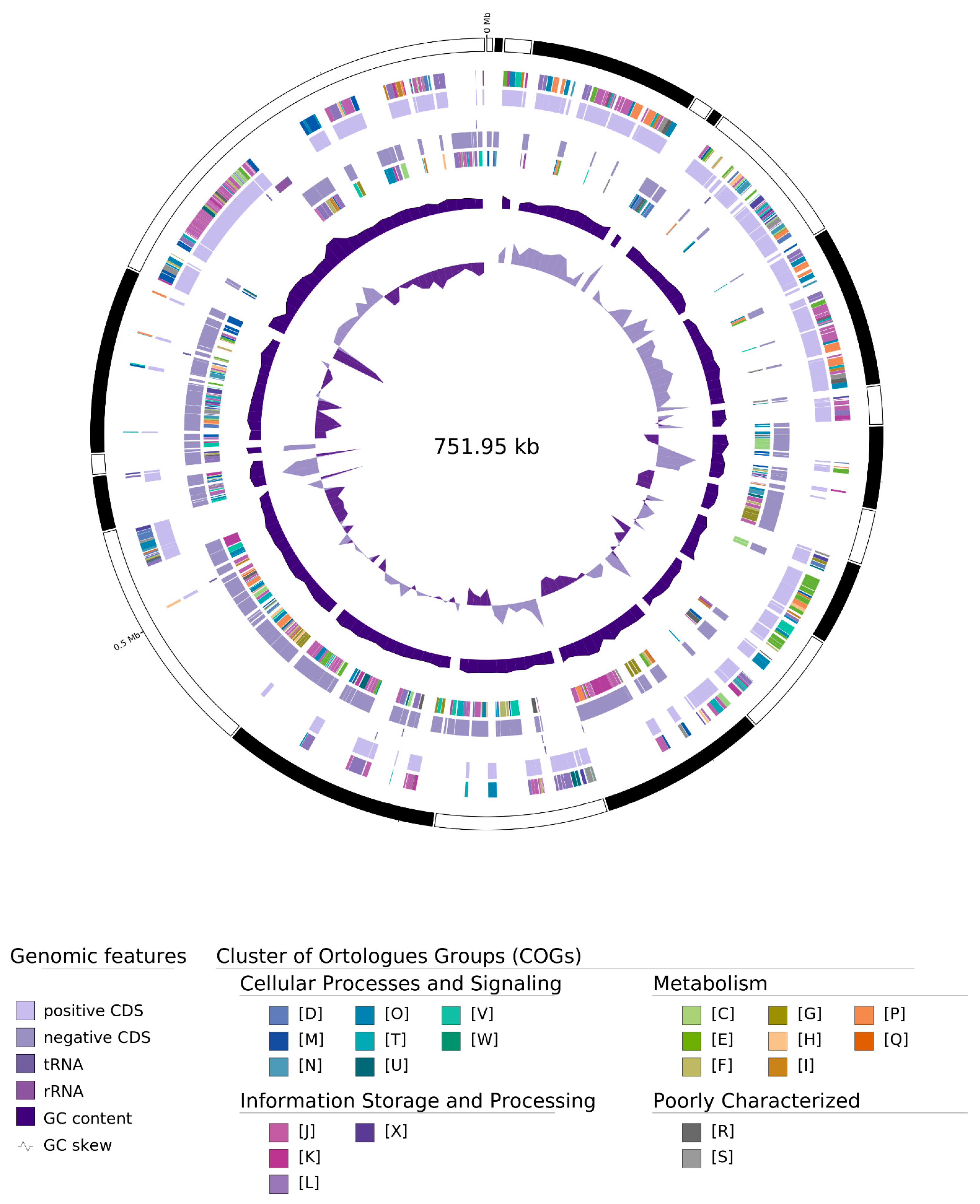 Microorganisms 12 00142 g002