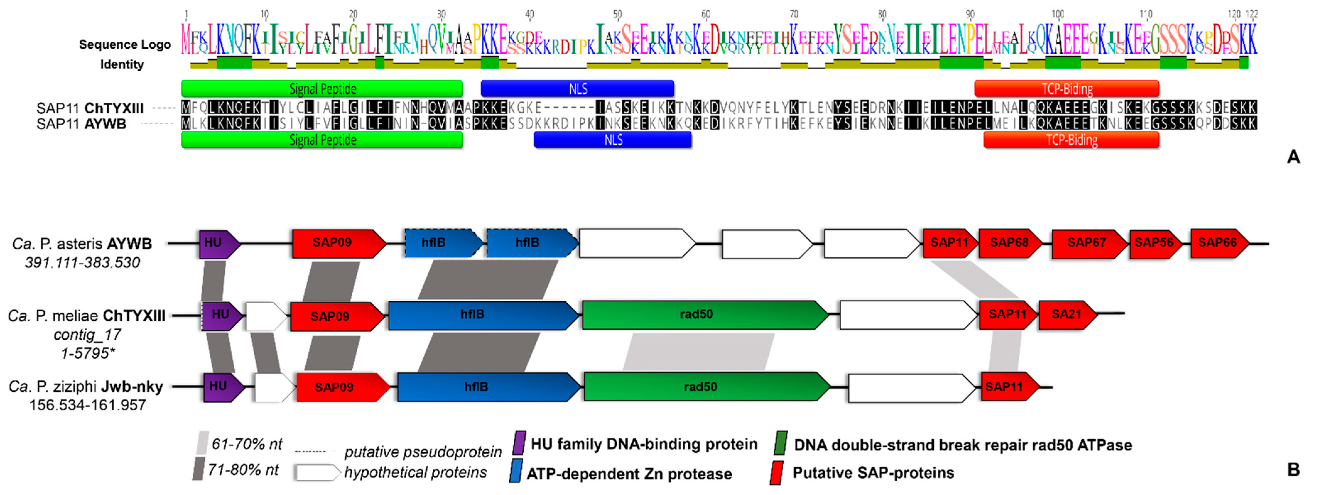 Microorganisms 12 00142 g003