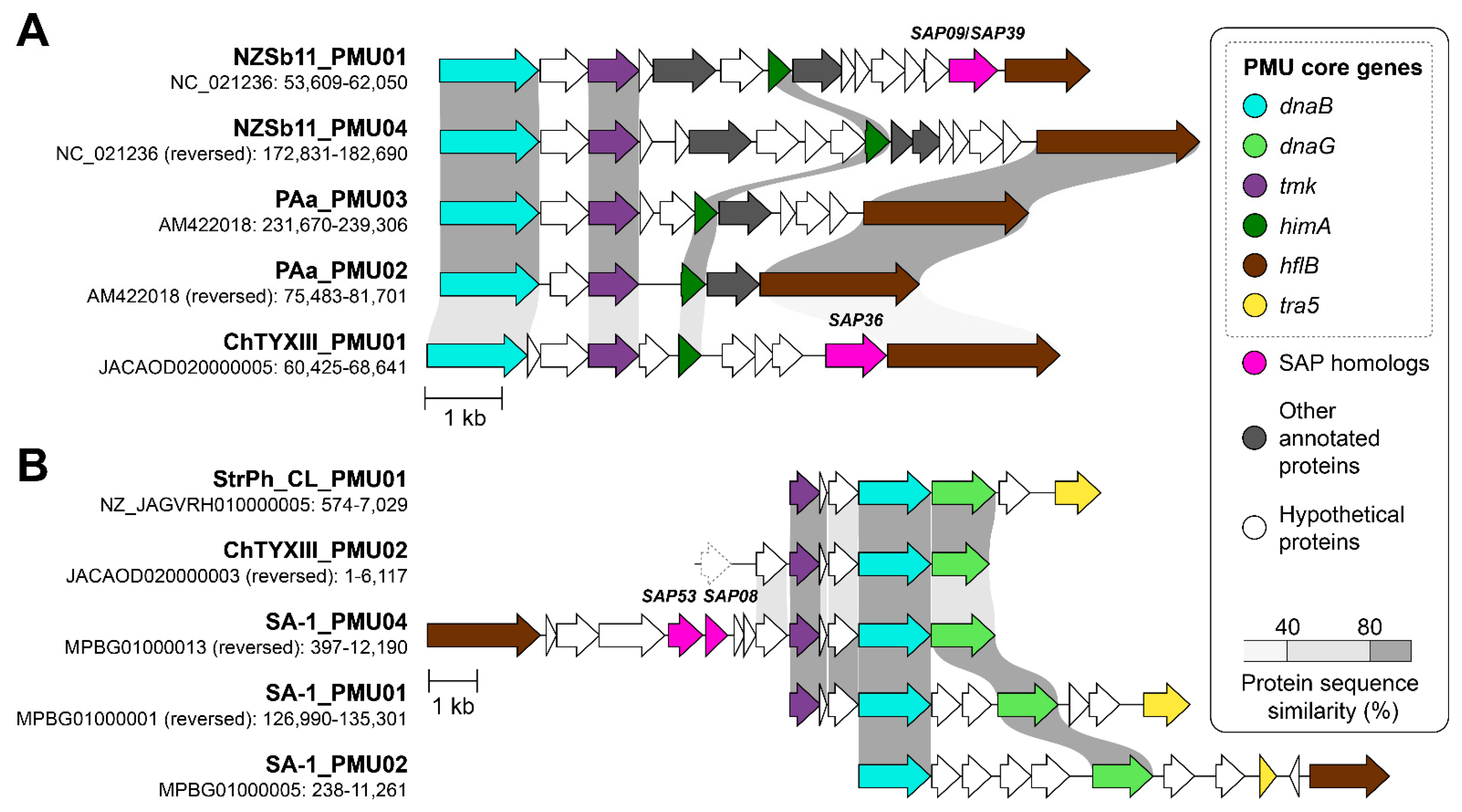 Microorganisms 12 00142 g005