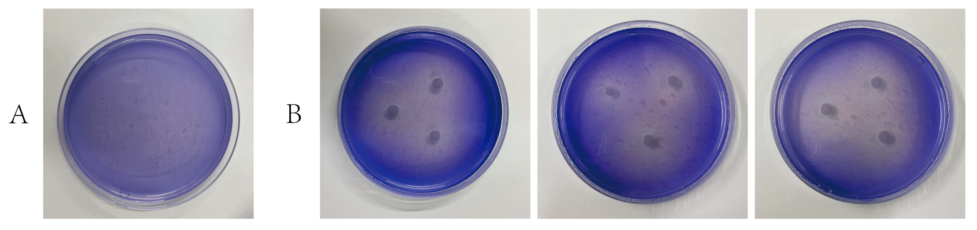Microorganisms 12 00144 g005 Microorganisms 12 00144 g005