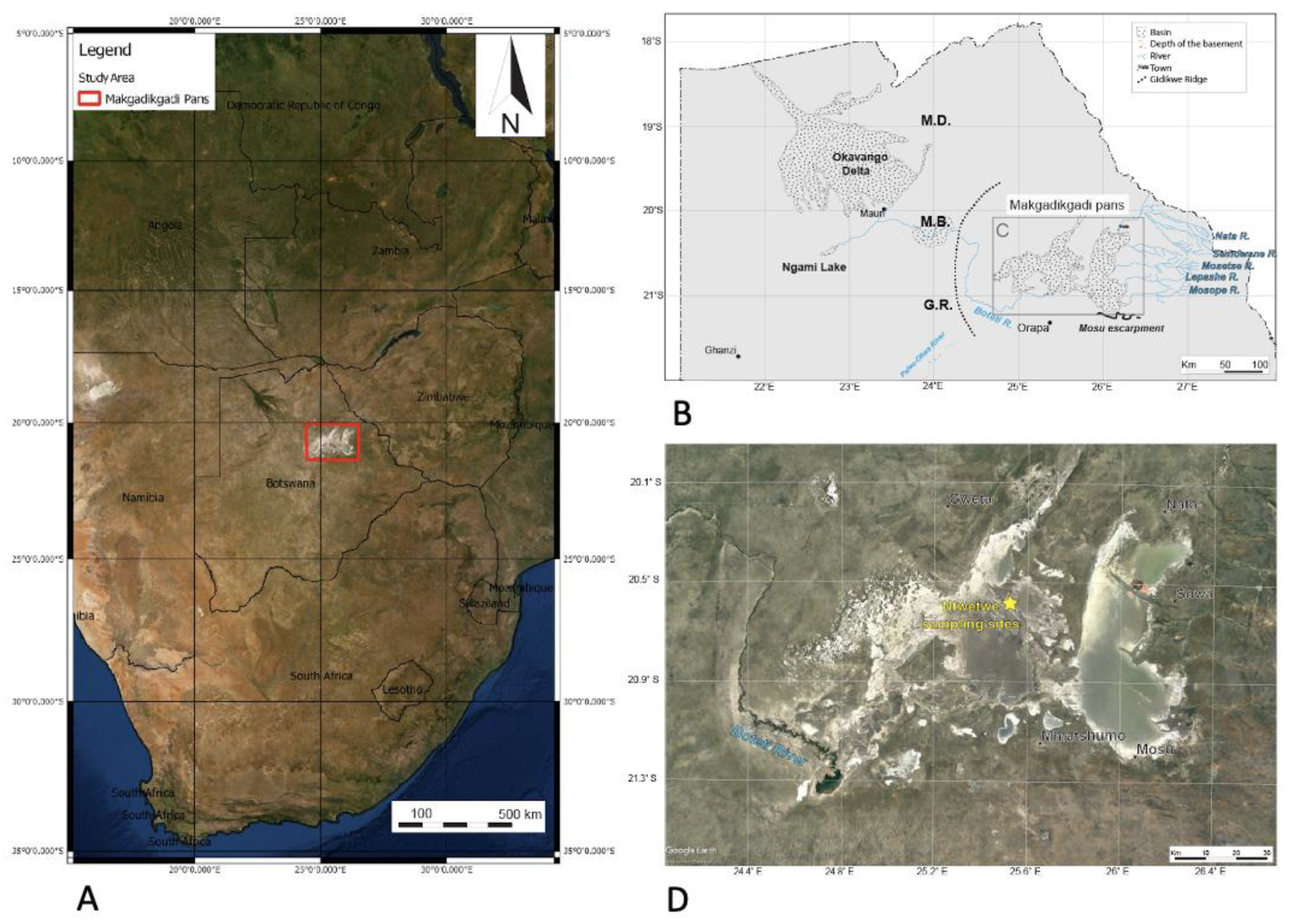 Microorganisms 12 00147 g001