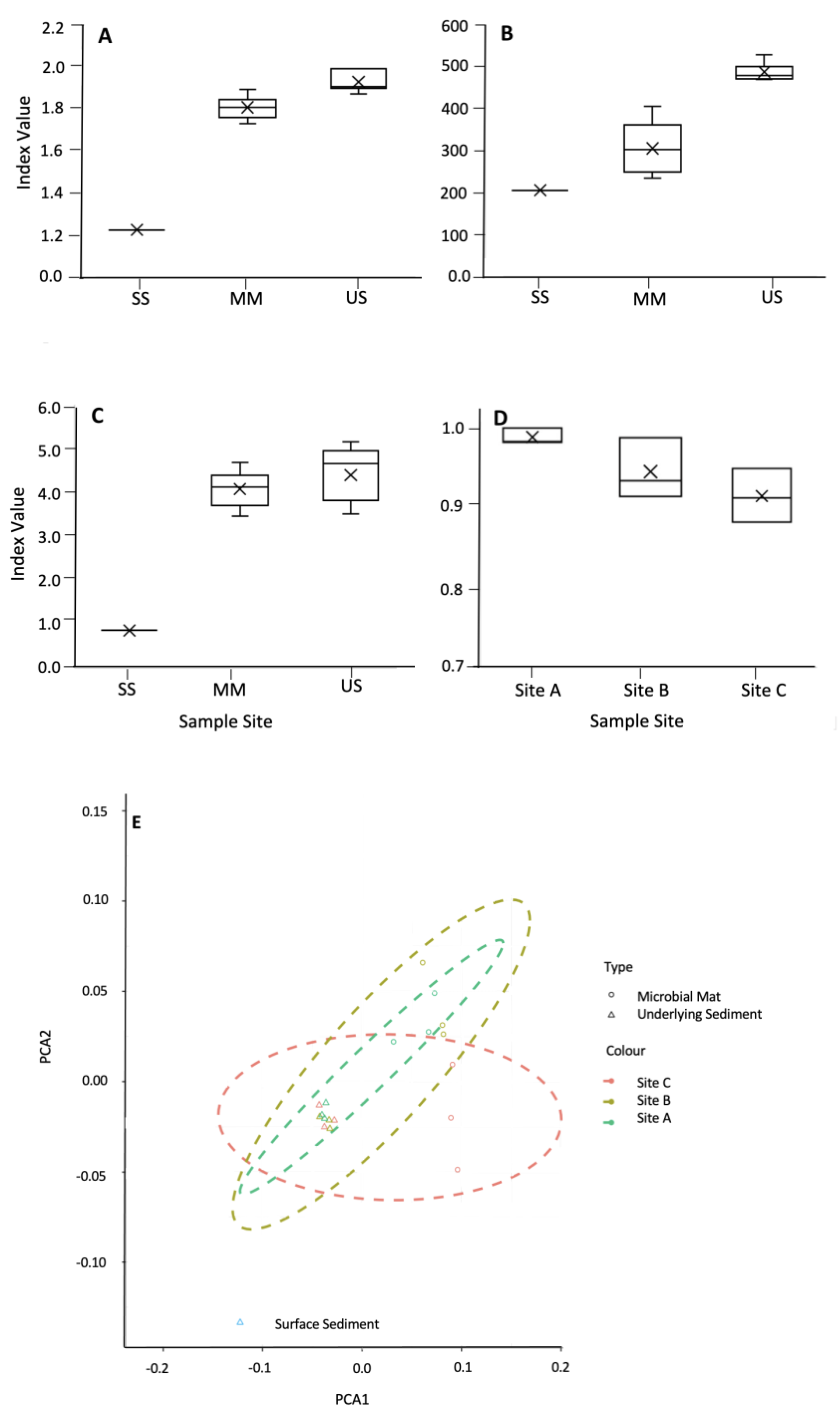 Microorganisms 12 00147 g006