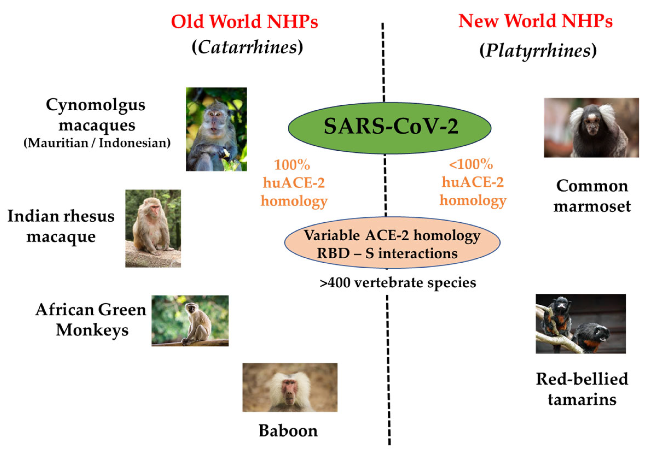 Microorganisms 12 00155 g003