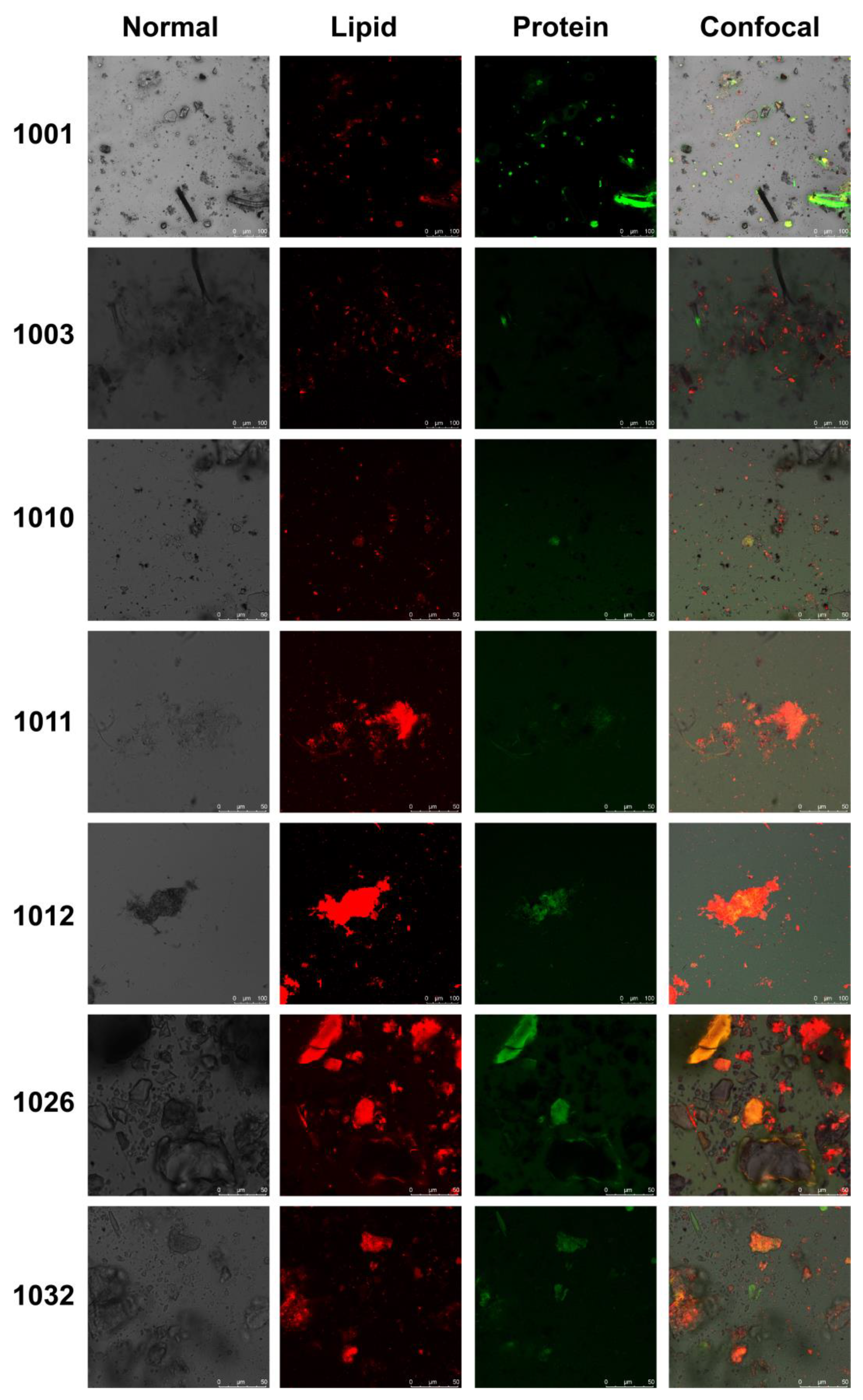 Microorganisms 12 00160 g004 Microorganisms 12 00160 g004