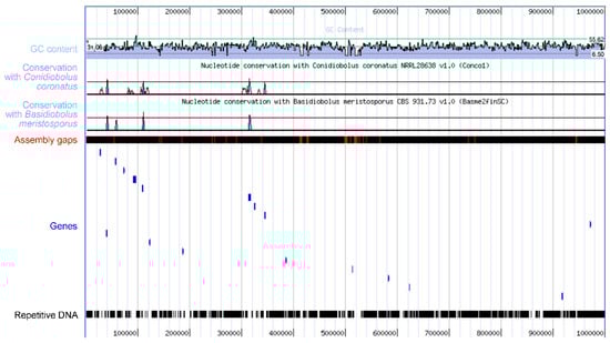 Microorganisms 12 00168 g005