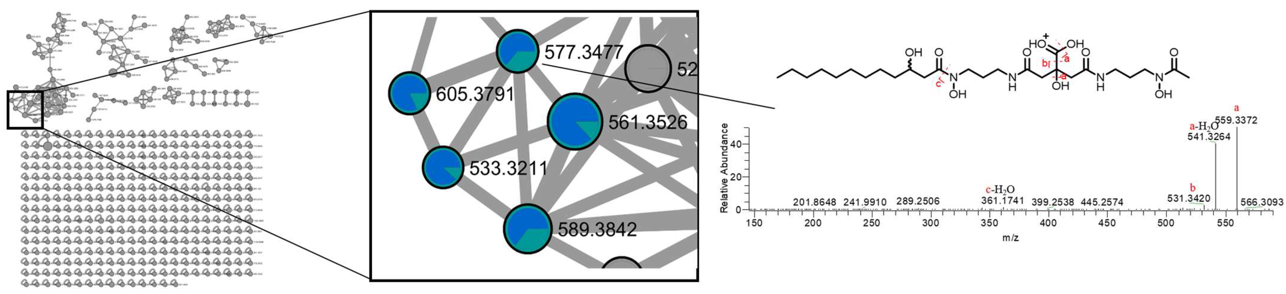 Microorganisms 12 00175 g002