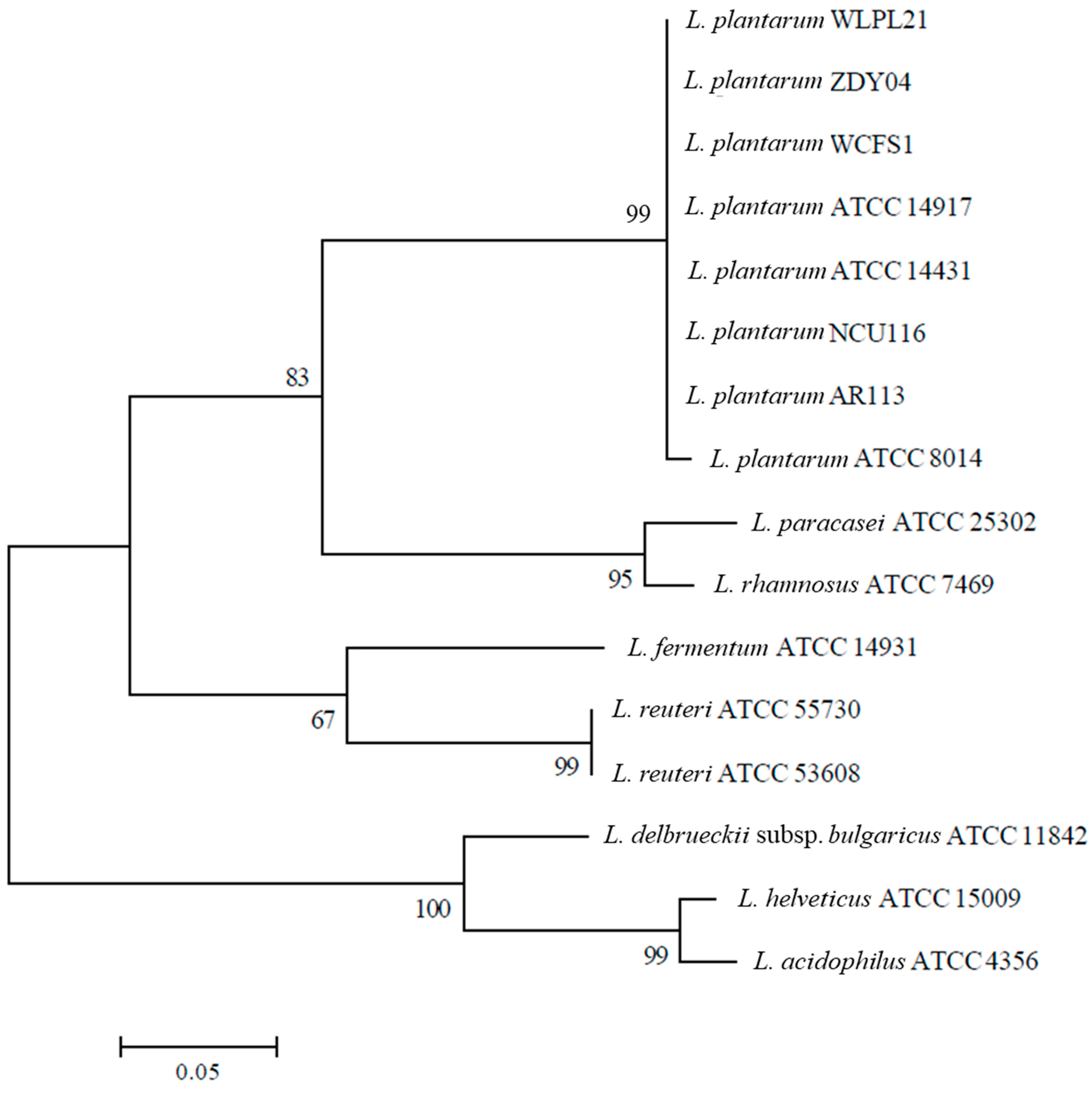 Microorganisms 12 00181 g005