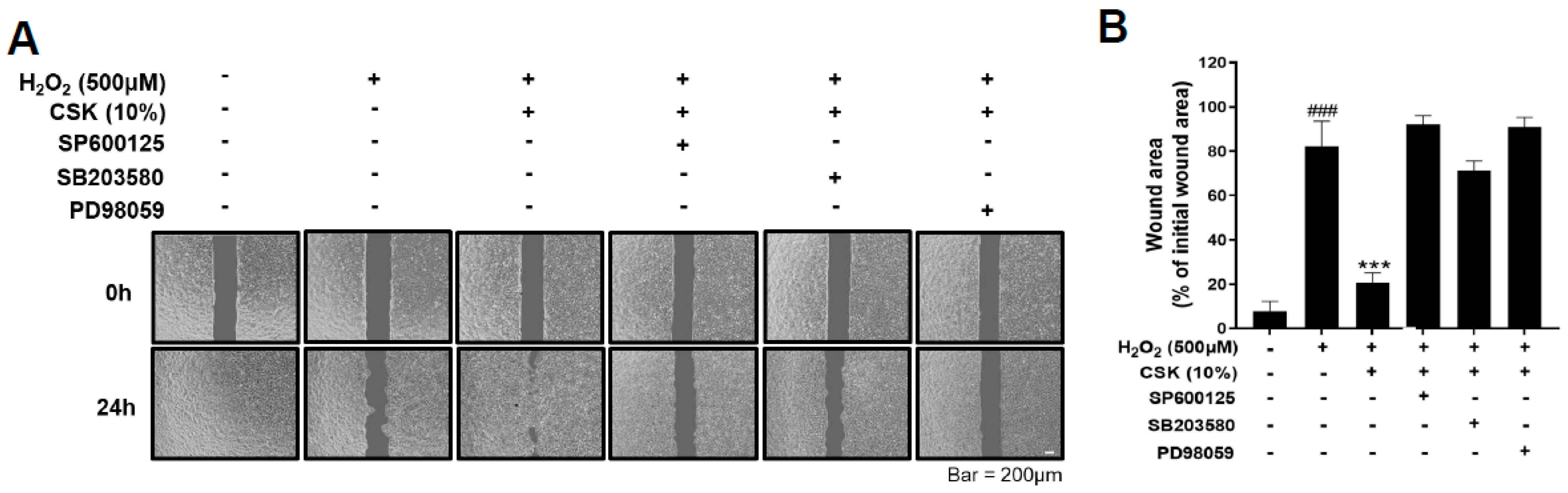 Microorganisms 12 00188 g004 Microorganisms 12 00188 g004