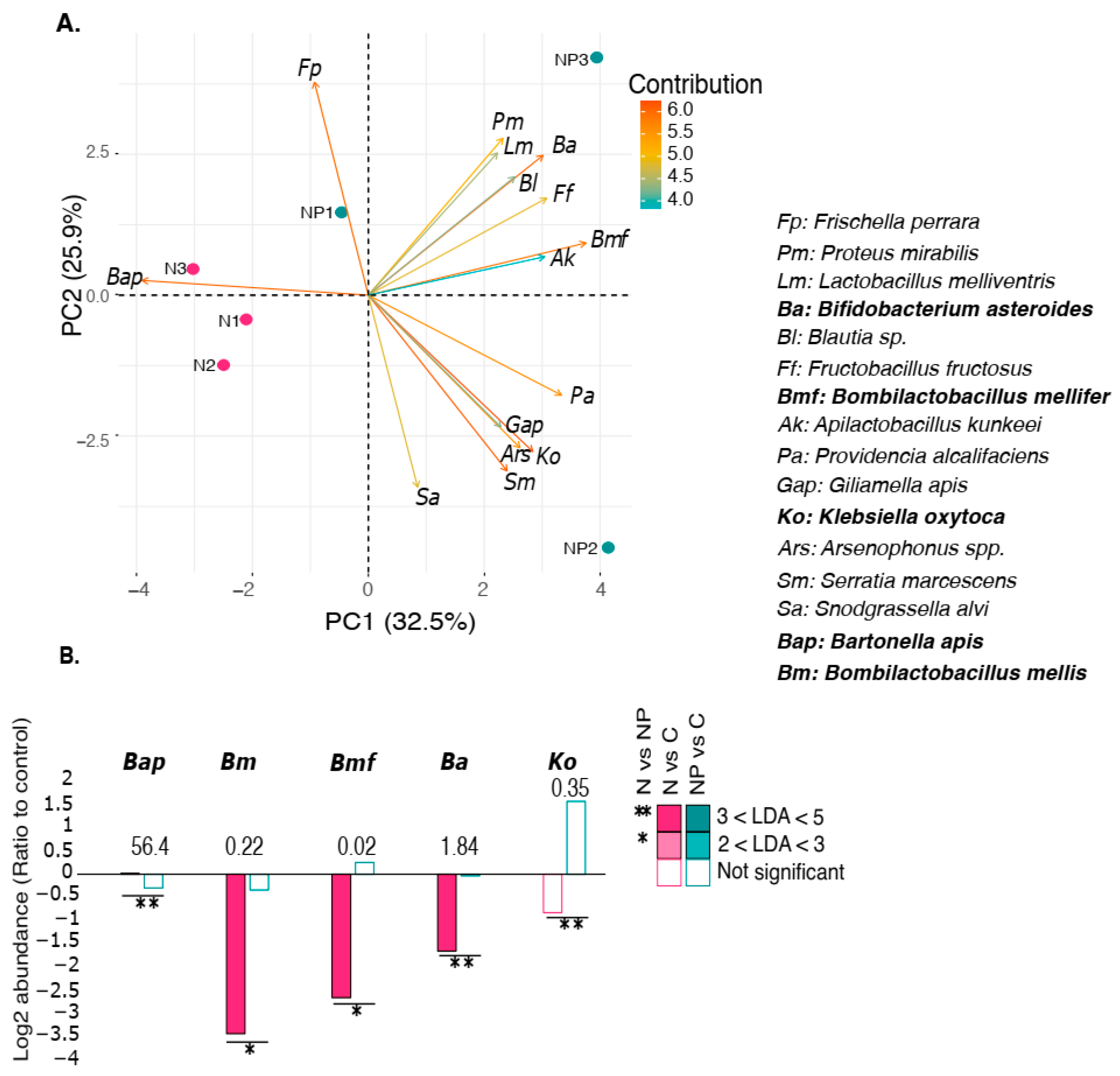 Microorganisms 12 00192 g005