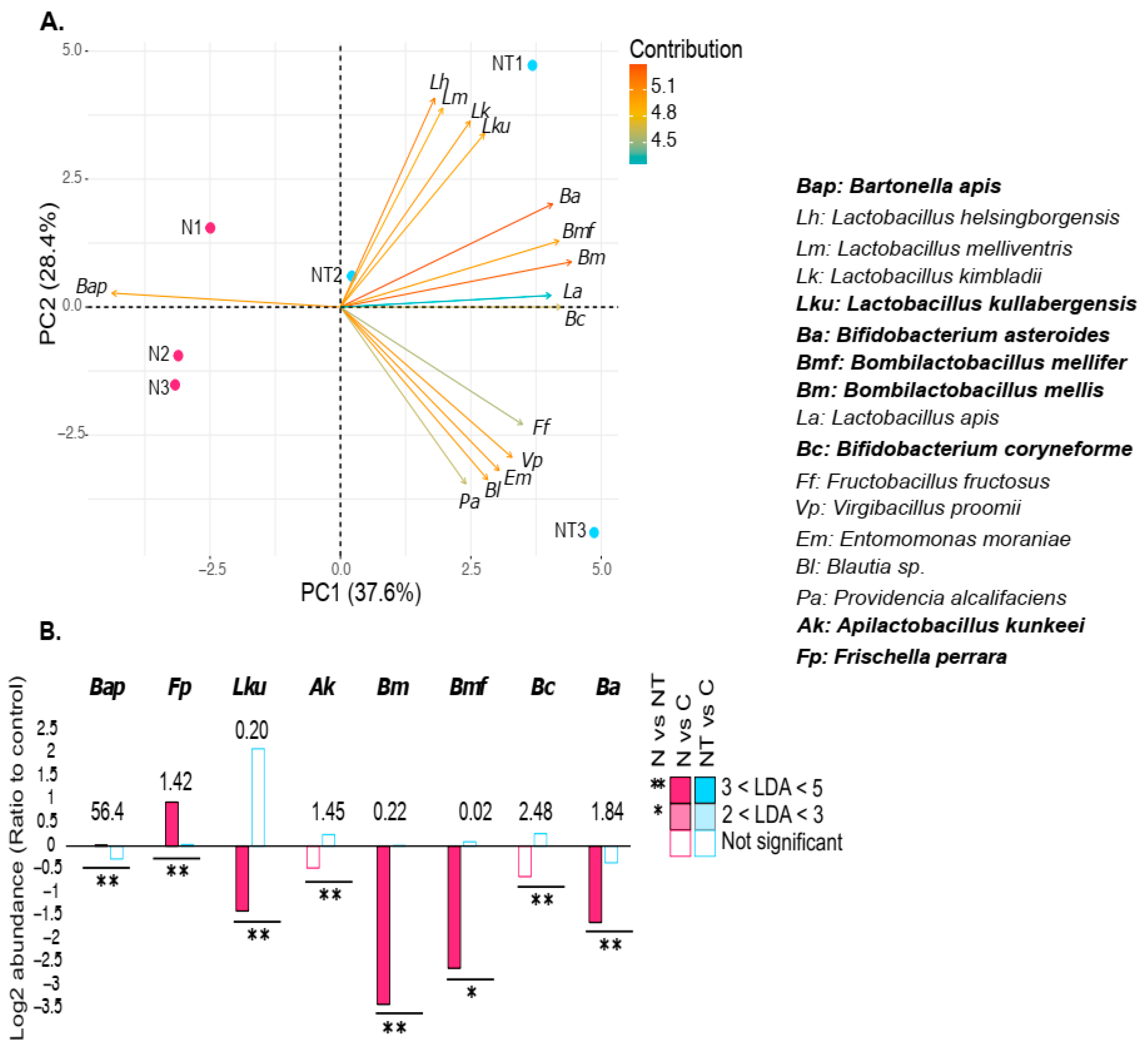 Microorganisms 12 00192 g006