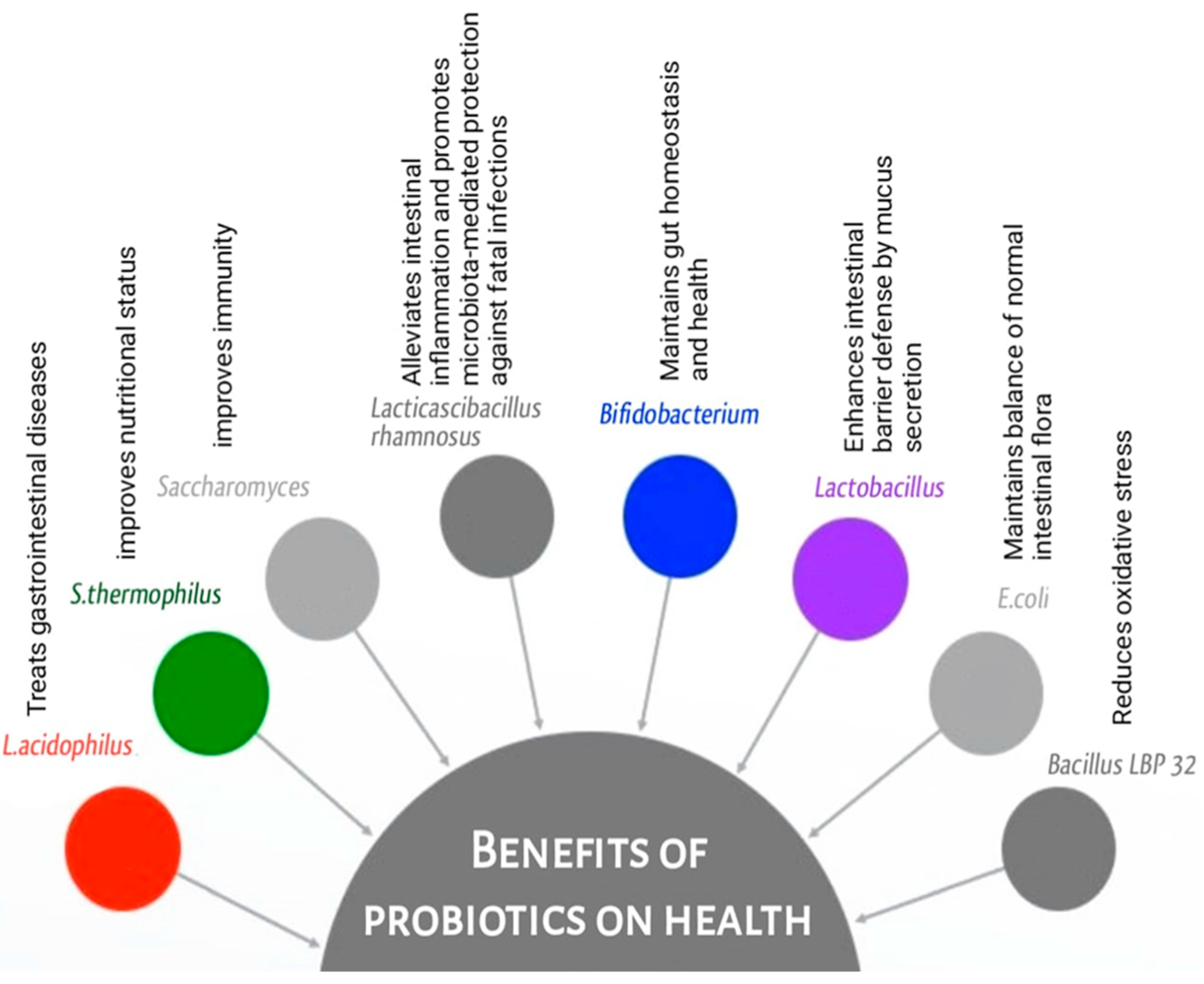 Microorganisms 12 00194 g002
