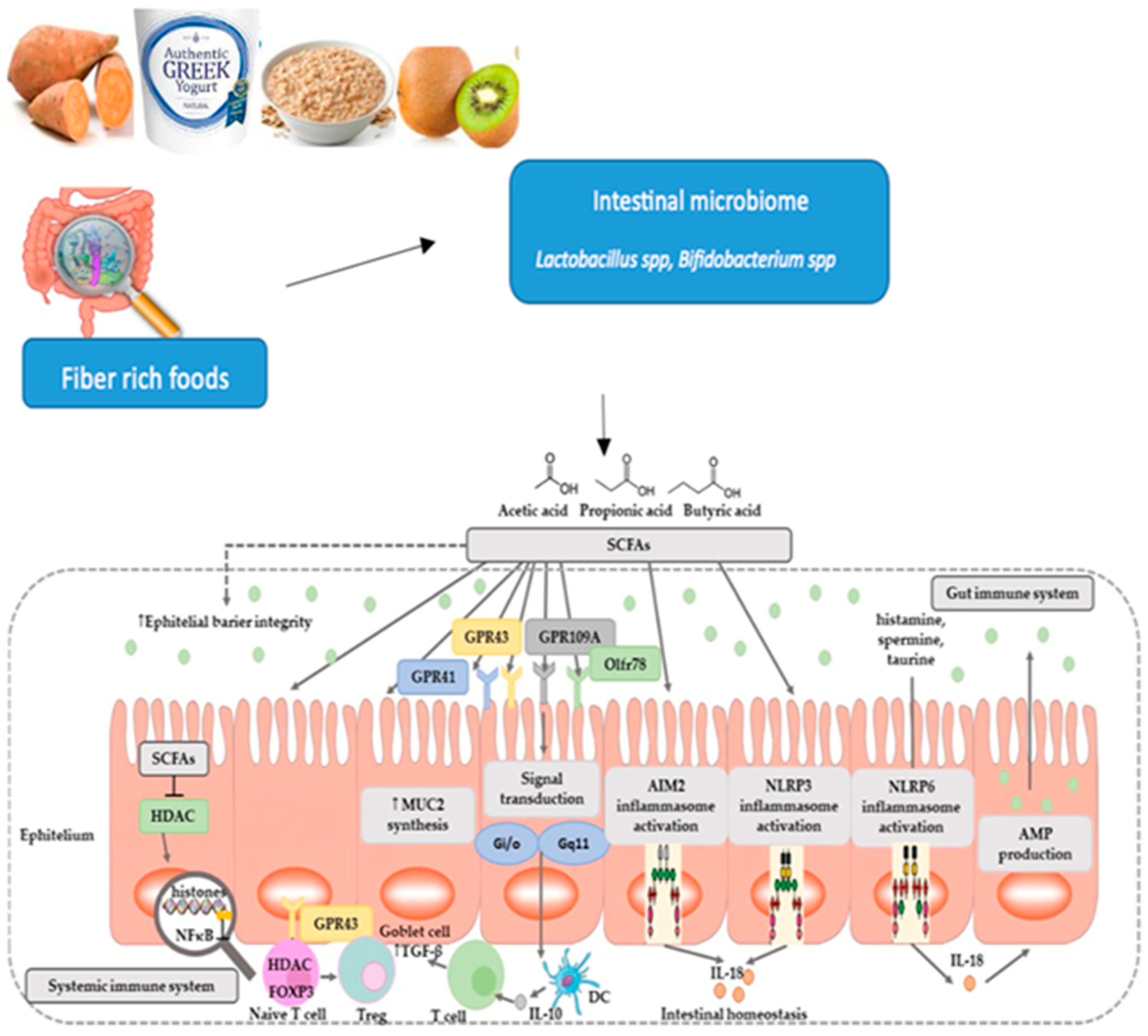 Microorganisms 12 00194 g003