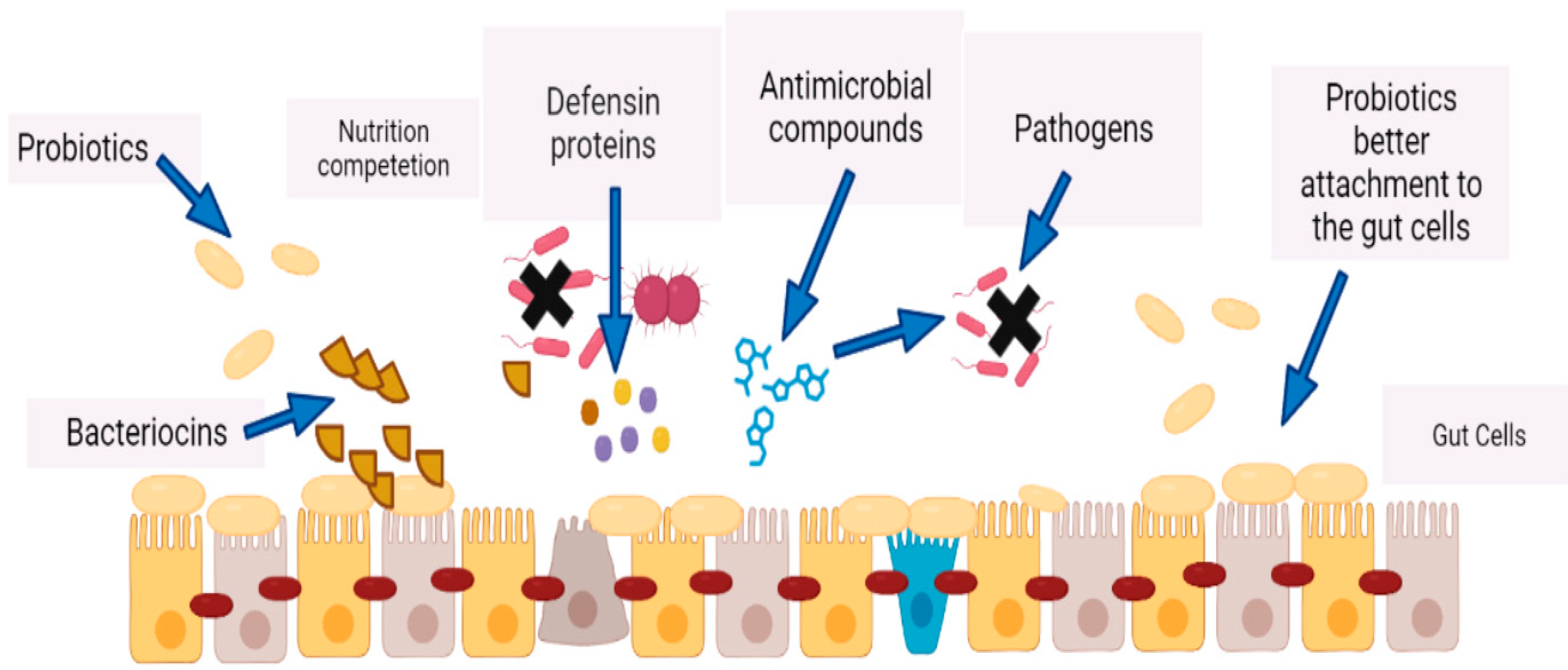 Microorganisms 12 00194 g004
